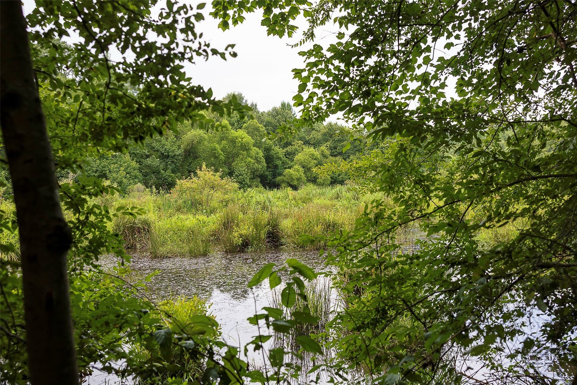 92.58 acres in Nacogdoches County - photo 9
