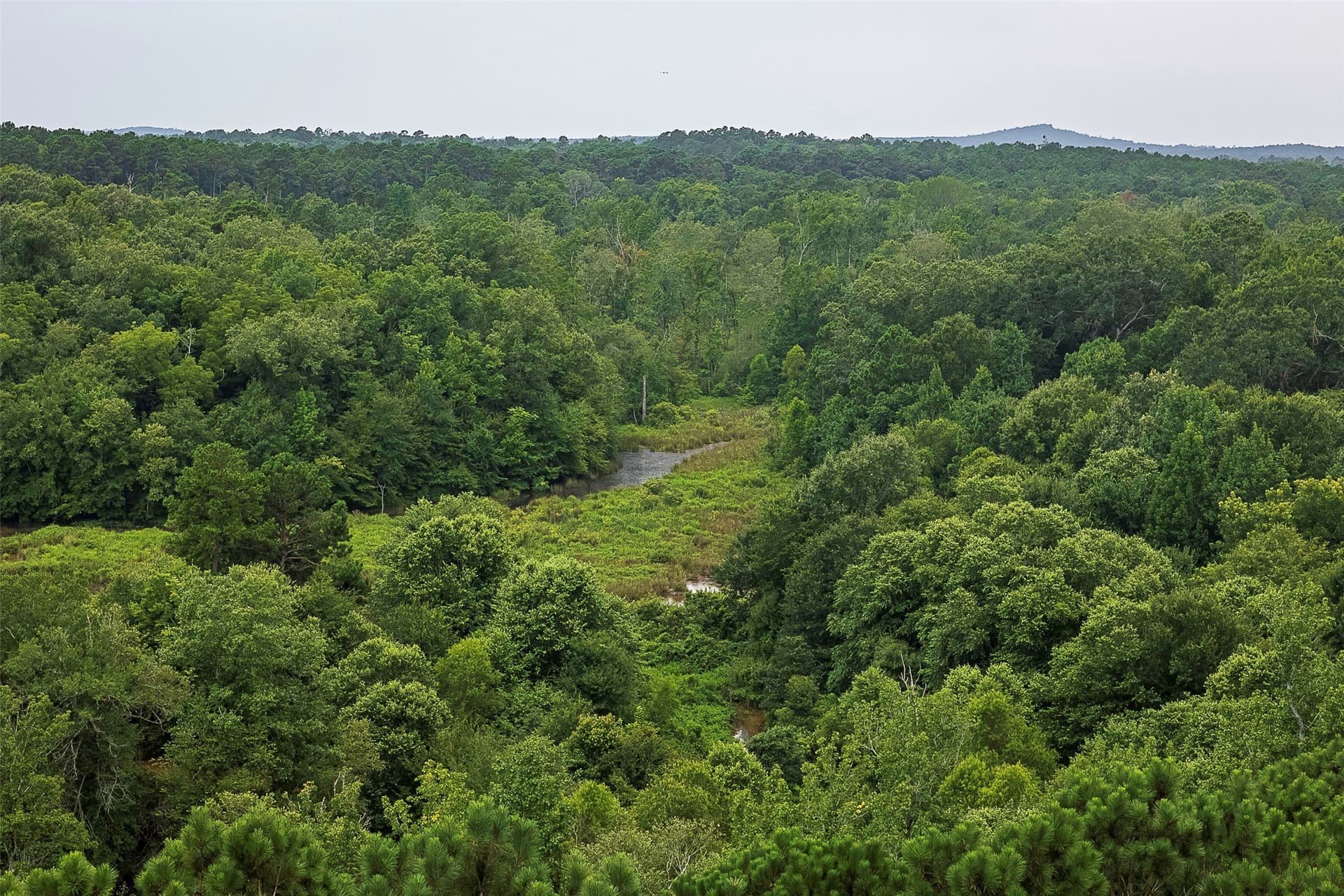 92.58 acres in Nacogdoches County - photo 22