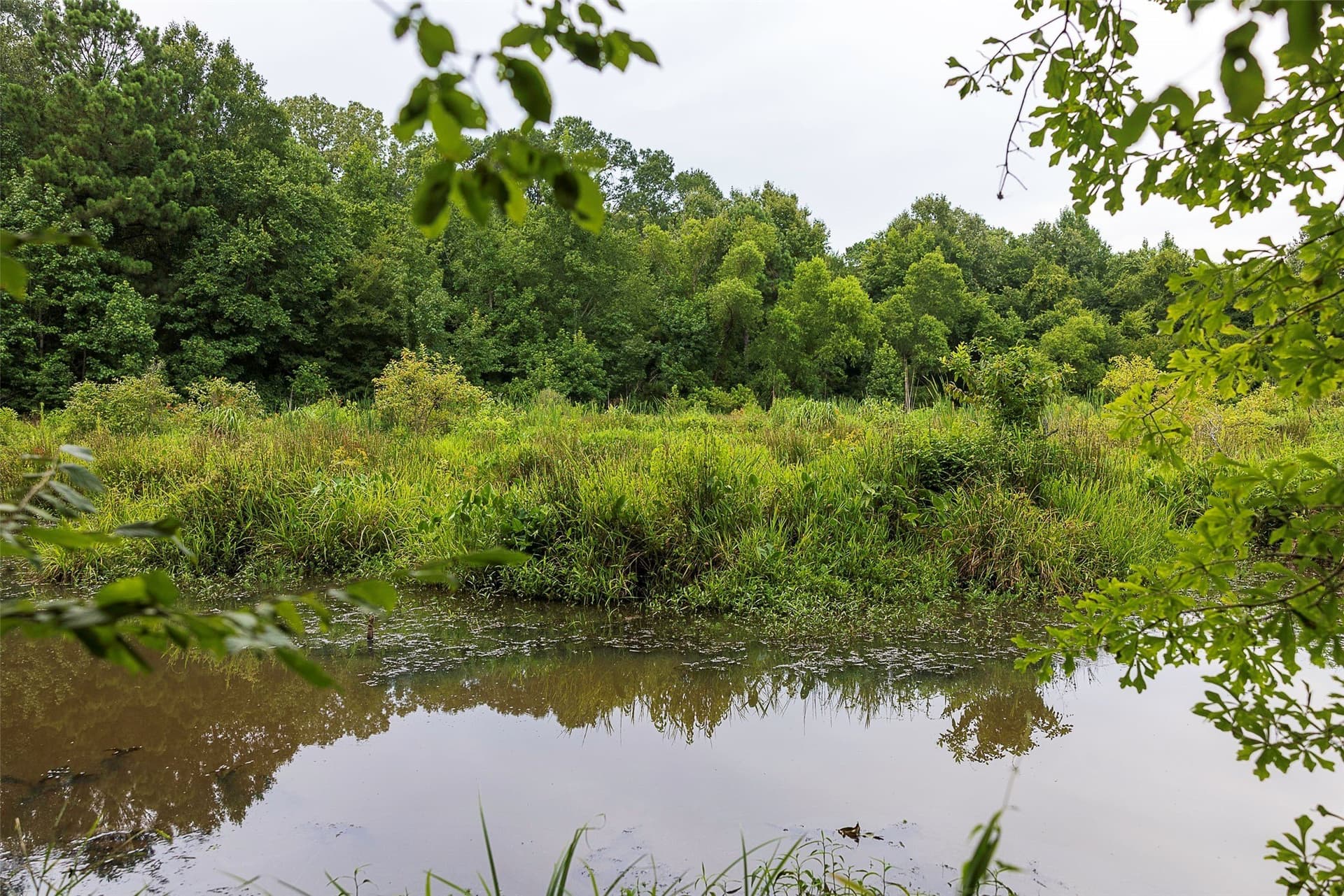92.58 acres in Nacogdoches County - photo 10