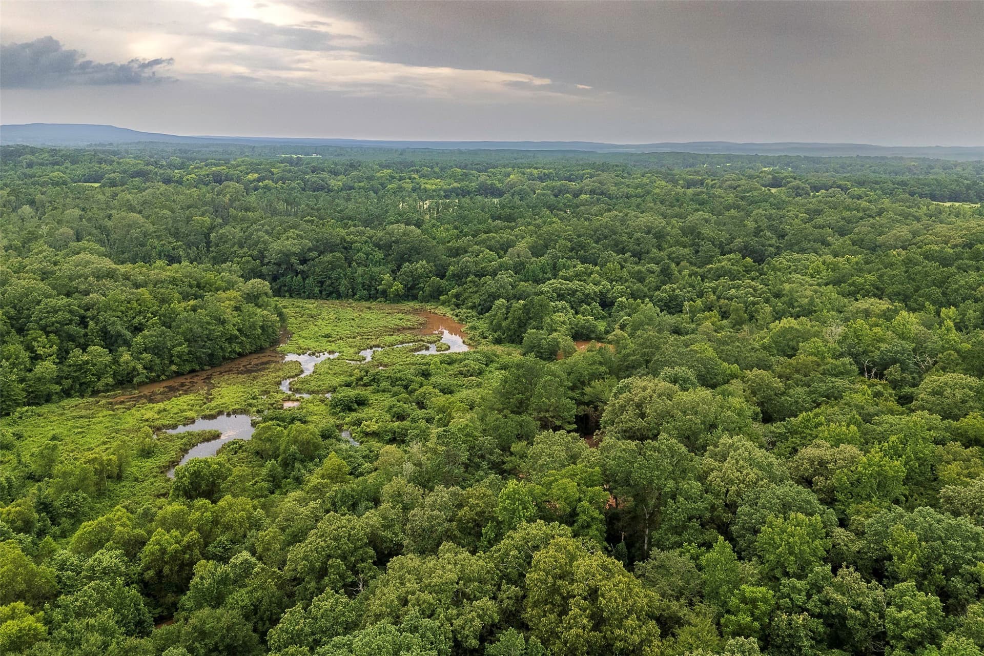 92.58 acres in Nacogdoches County - photo 17