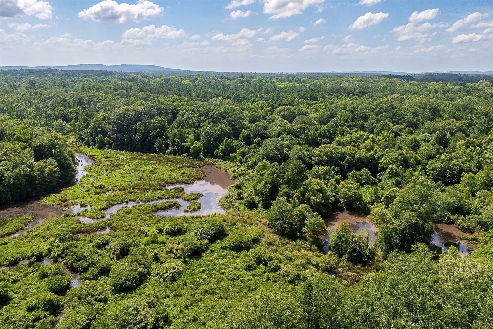 92.58 acres in Nacogdoches County - photo 33