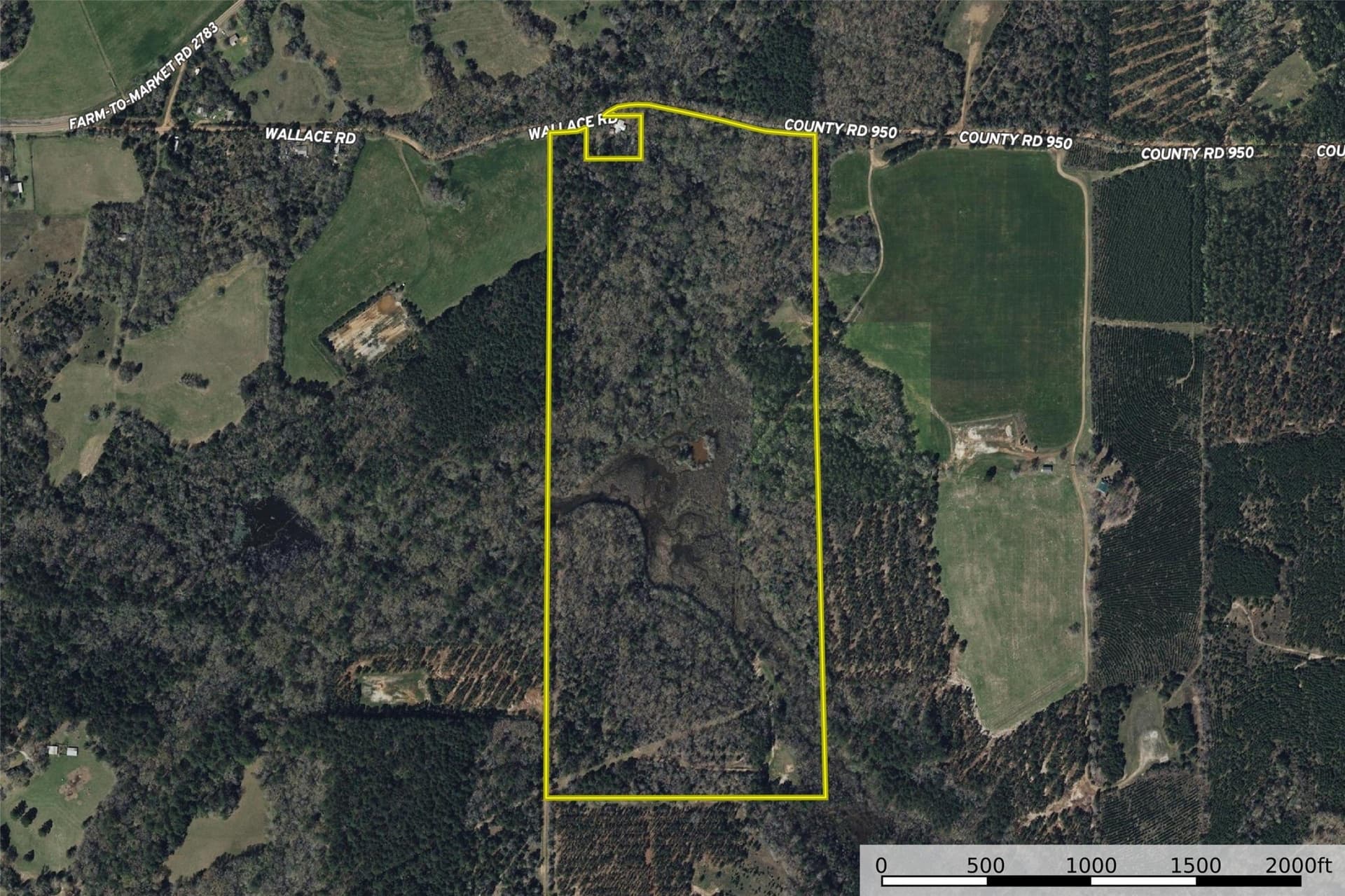 92.58 acres in Nacogdoches County - photo 34