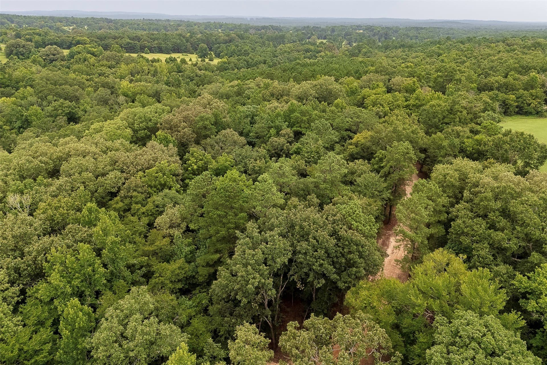 92.58 acres in Nacogdoches County - photo 21