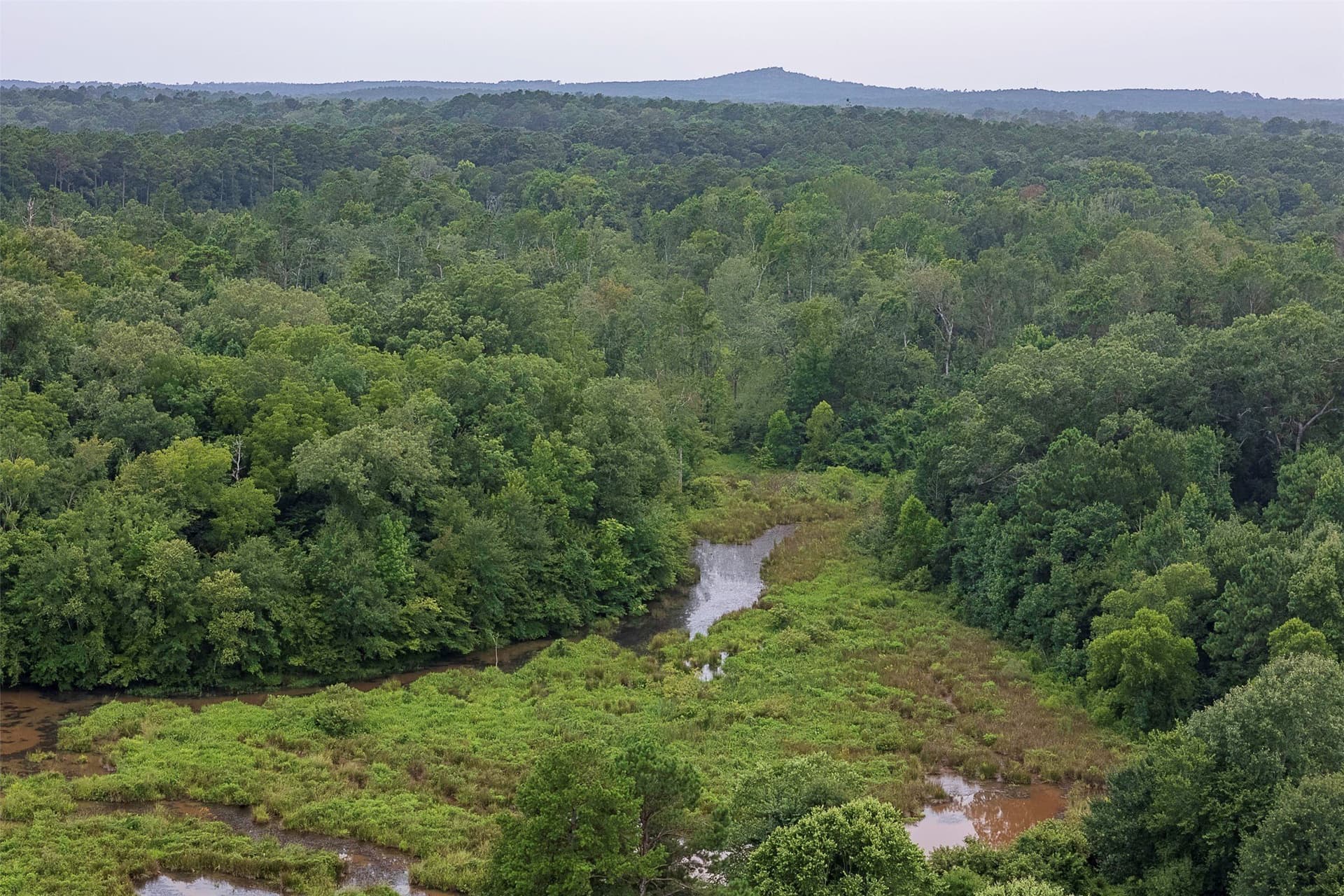 92.58 acres in Nacogdoches County - photo 13
