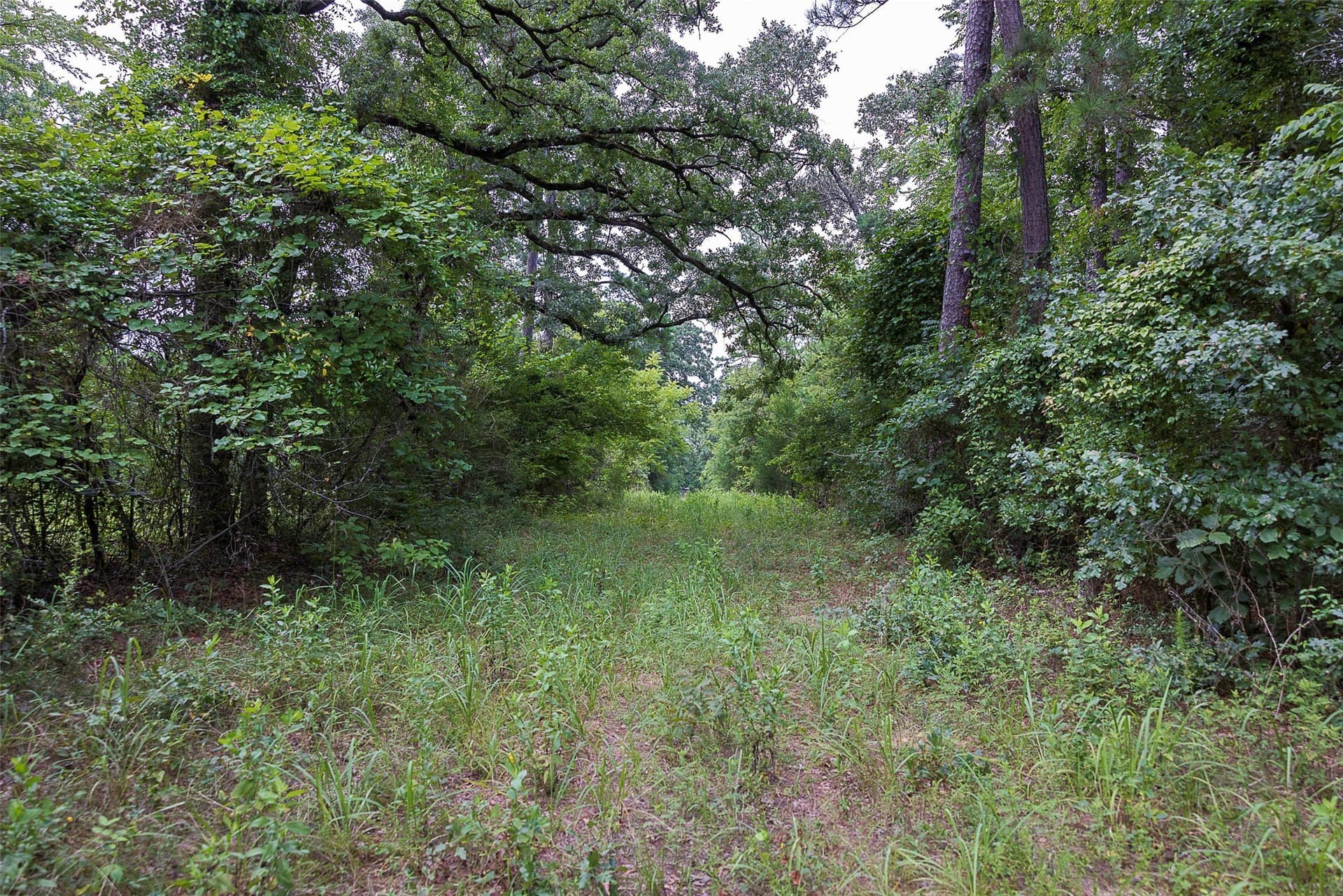 92.58 acres in Nacogdoches County - photo 24