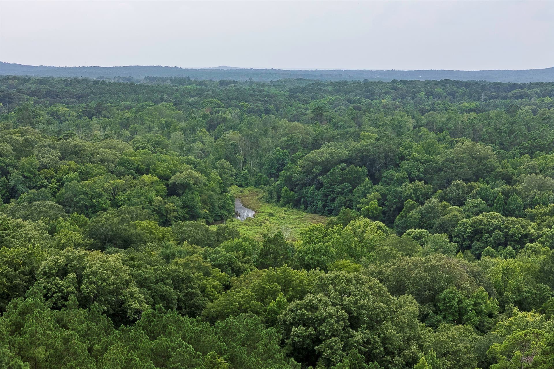 92.58 acres in Nacogdoches County - photo 15