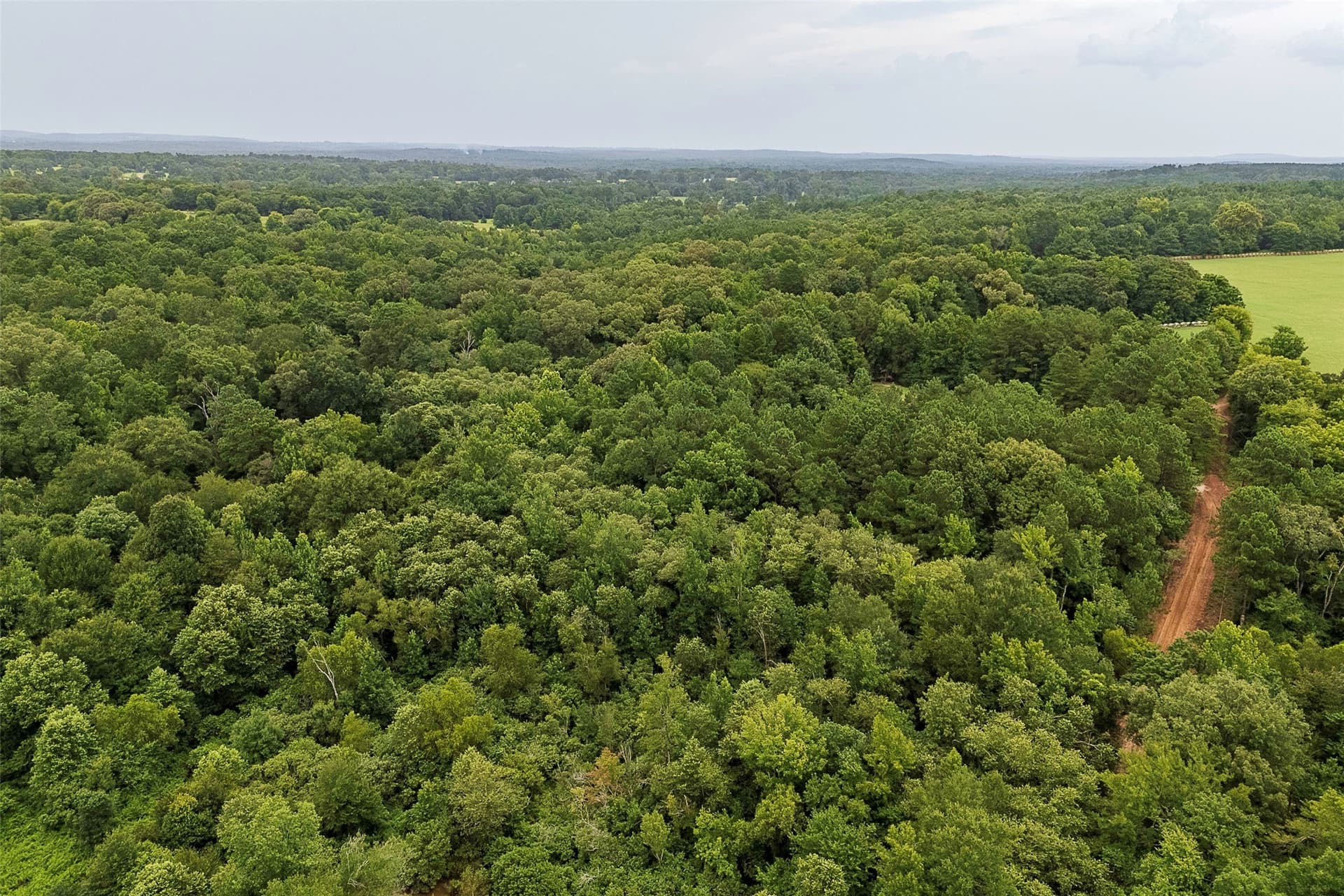 92.58 acres in Nacogdoches County - photo 20