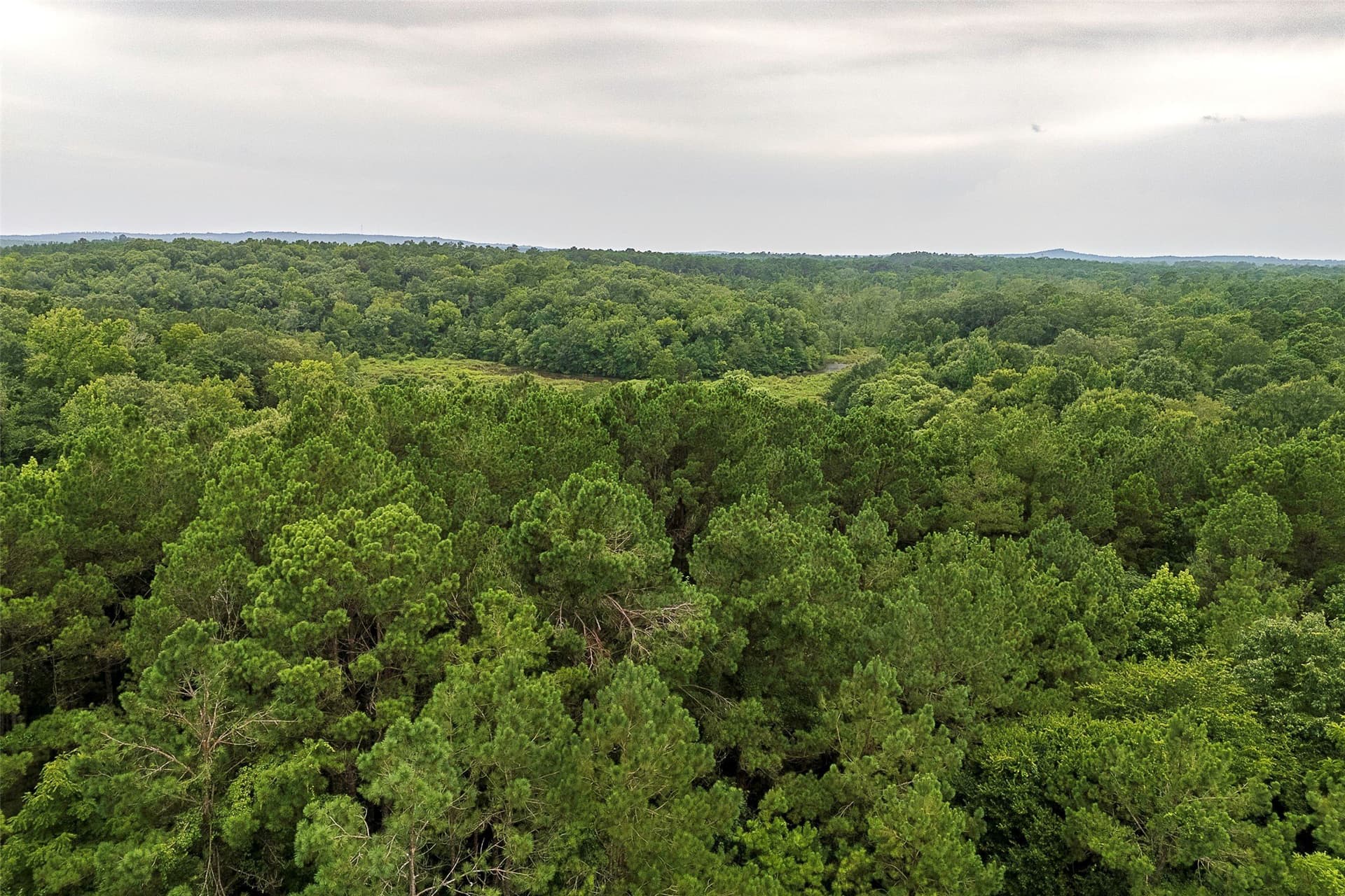 92.58 acres in Nacogdoches County - photo 11