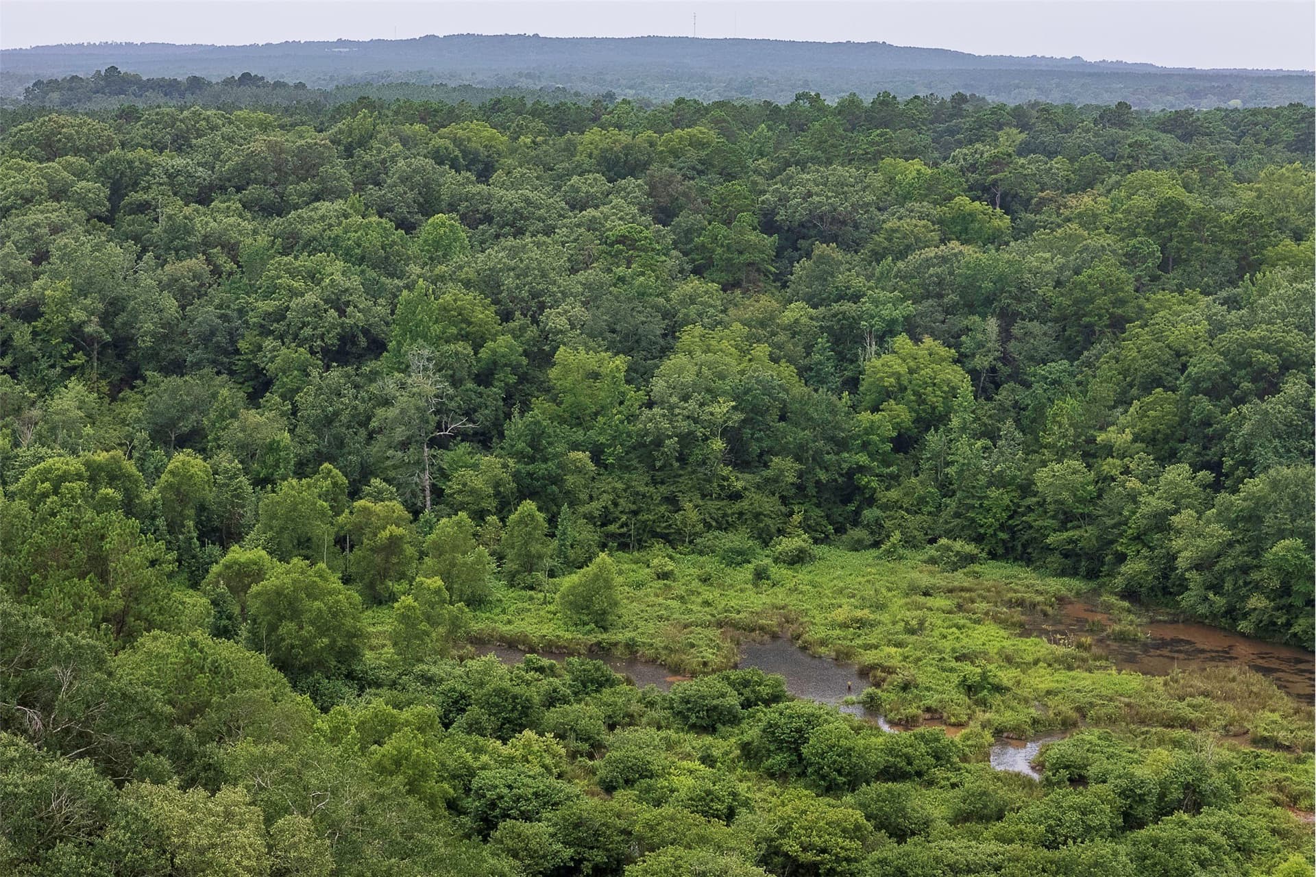 92.58 acres in Nacogdoches County - photo 14
