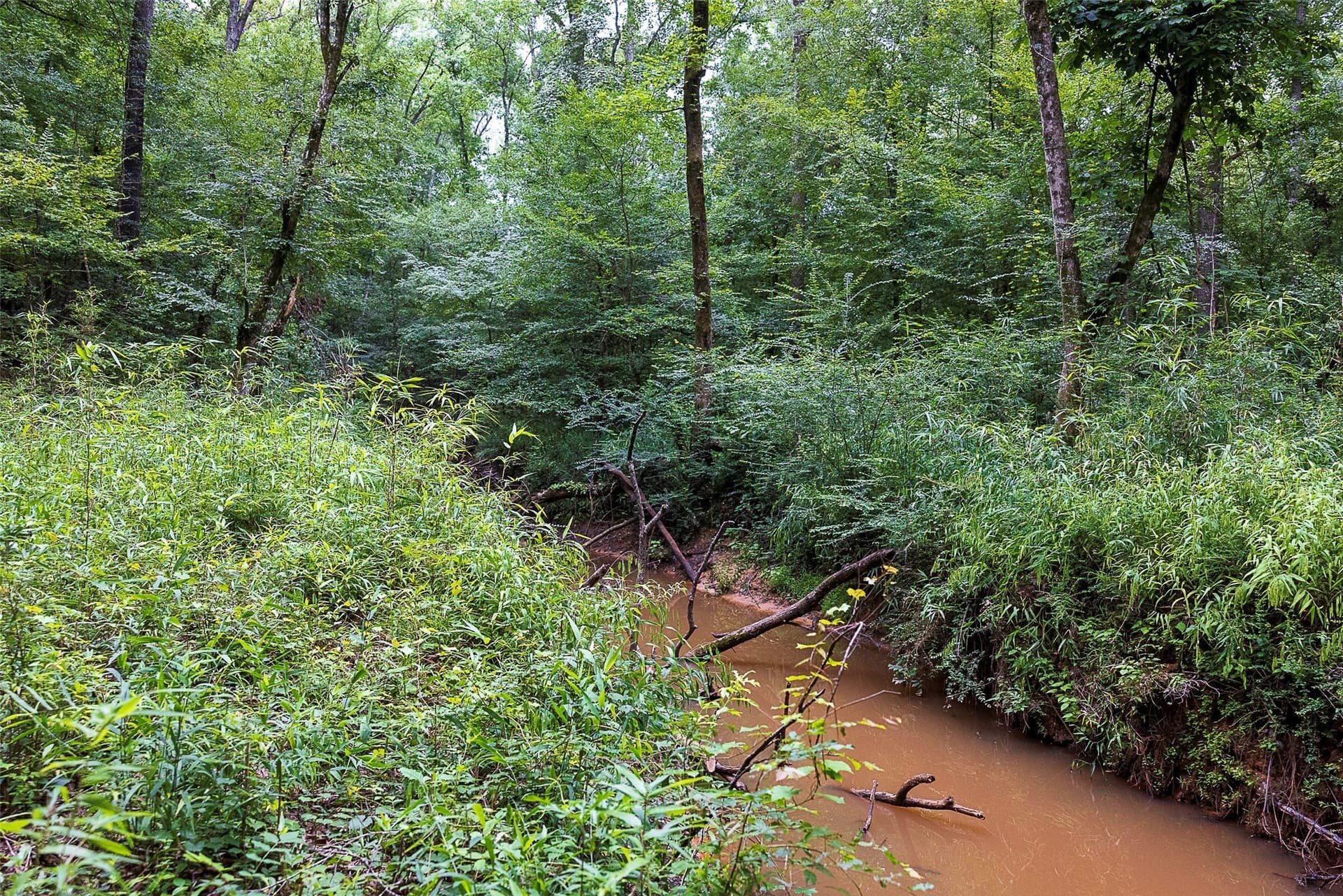 92.58 acres in Nacogdoches County - photo 27