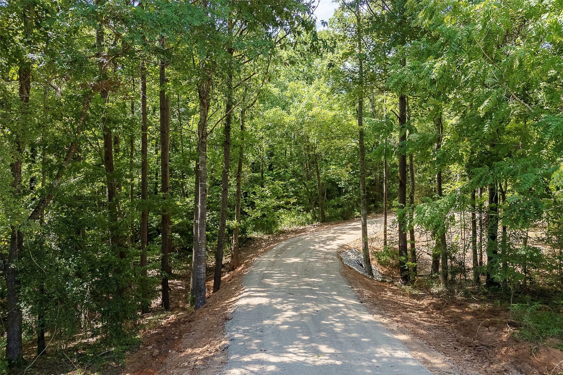 92.58 acres in Nacogdoches County - photo 4