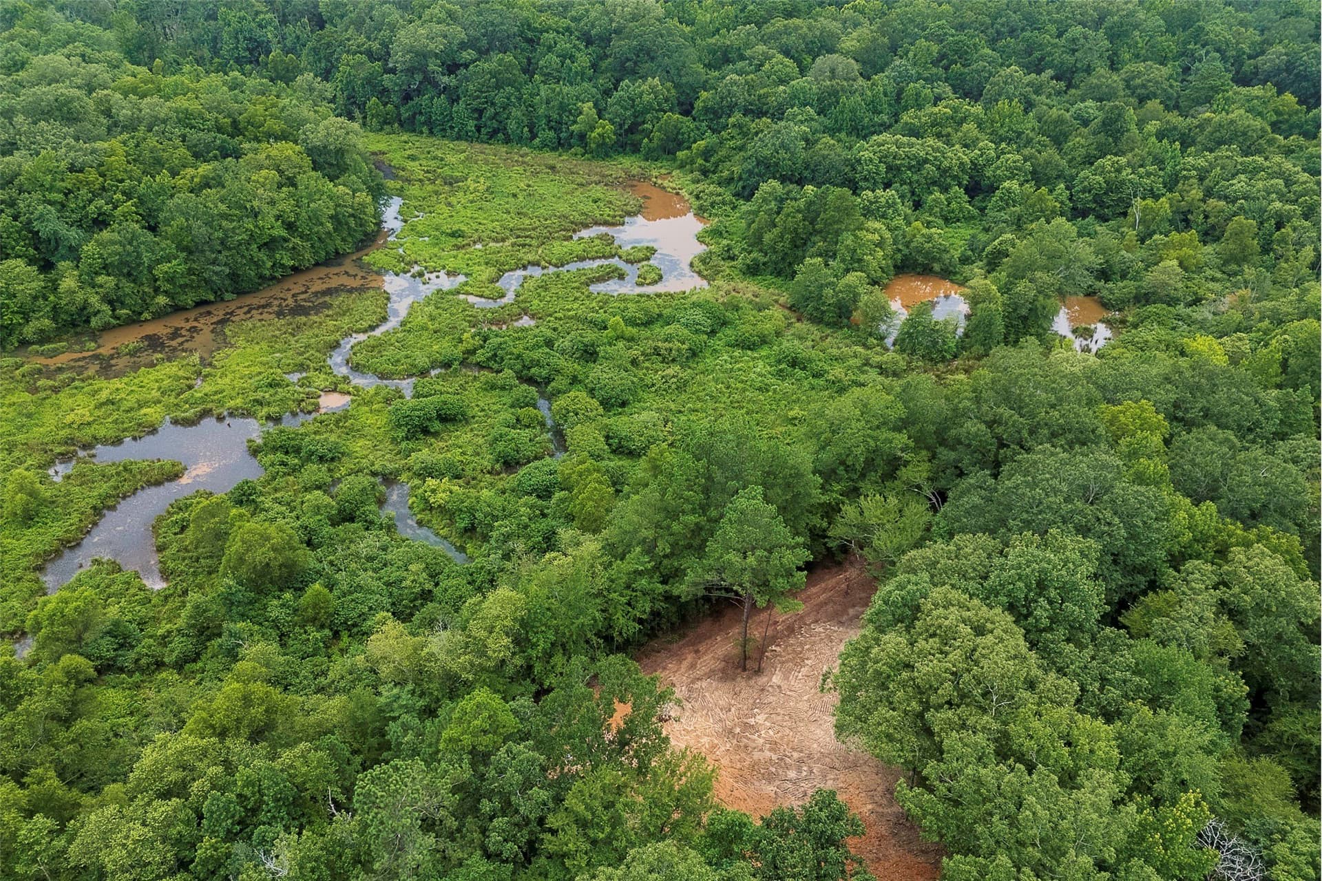 92.58 acres in Nacogdoches County - photo 18