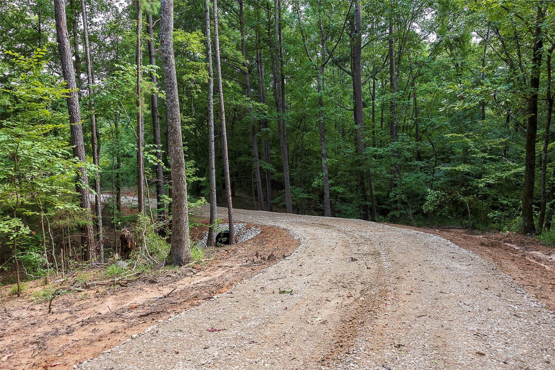 92.58 acres in Nacogdoches County - photo 5