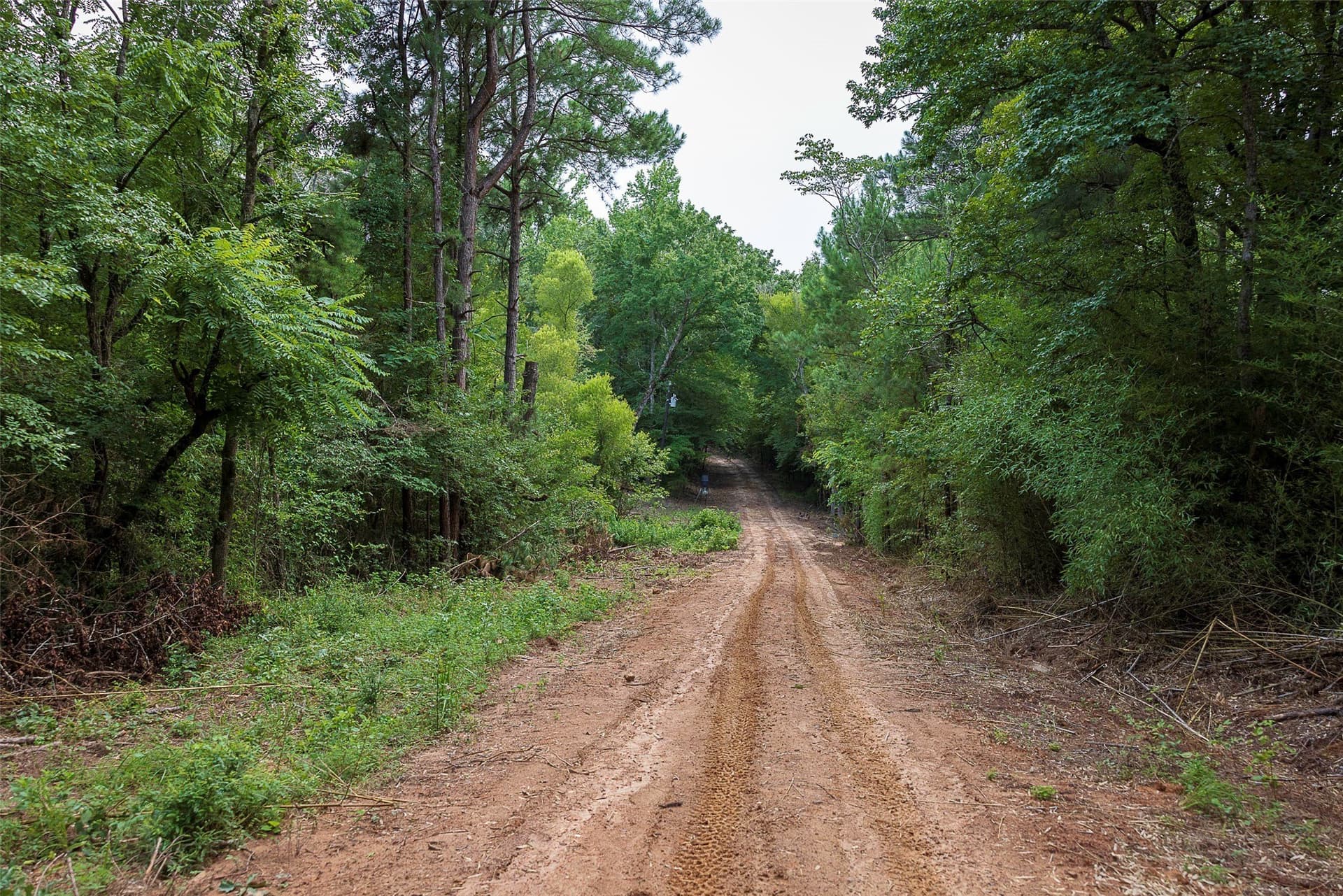 92.58 acres in Nacogdoches County - photo 23