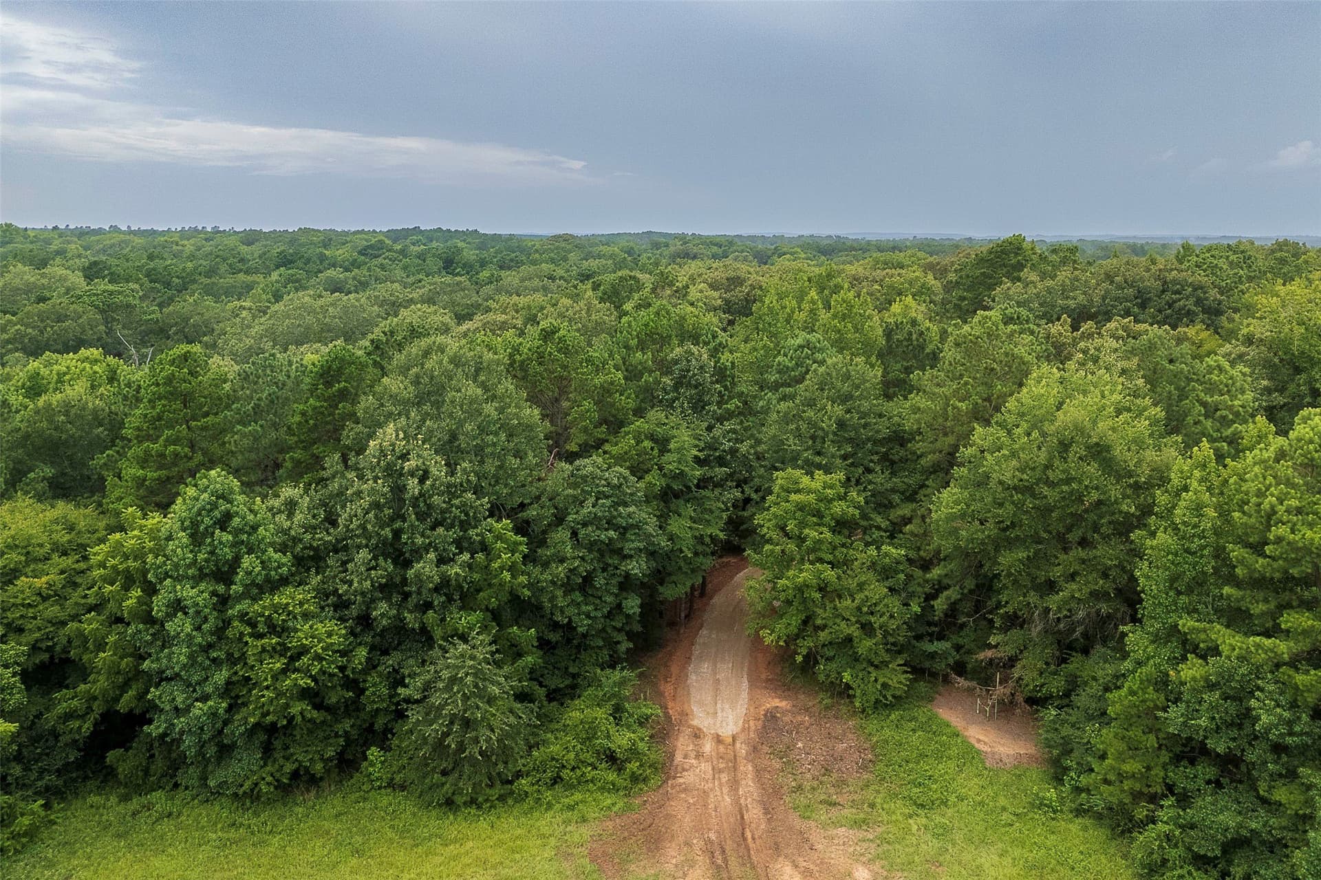 92.58 acres in Nacogdoches County - photo 3