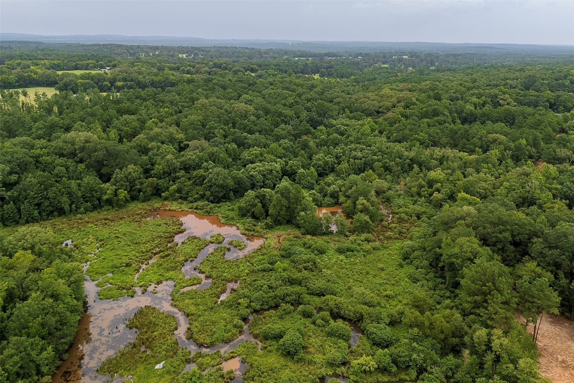 92.58 acres in Nacogdoches County - photo 19