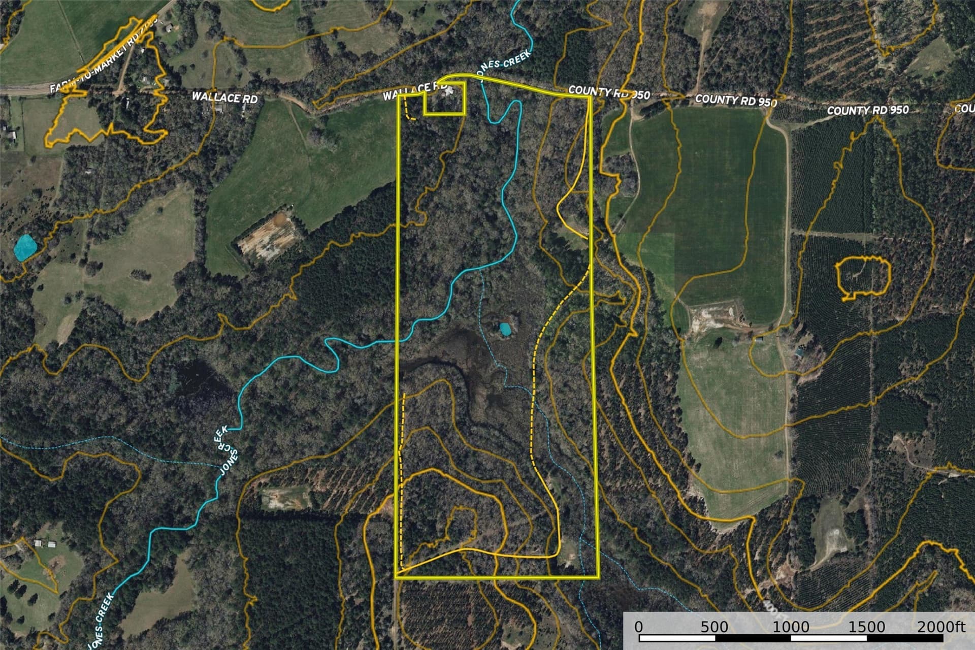 92.58 acres in Nacogdoches County - photo 35
