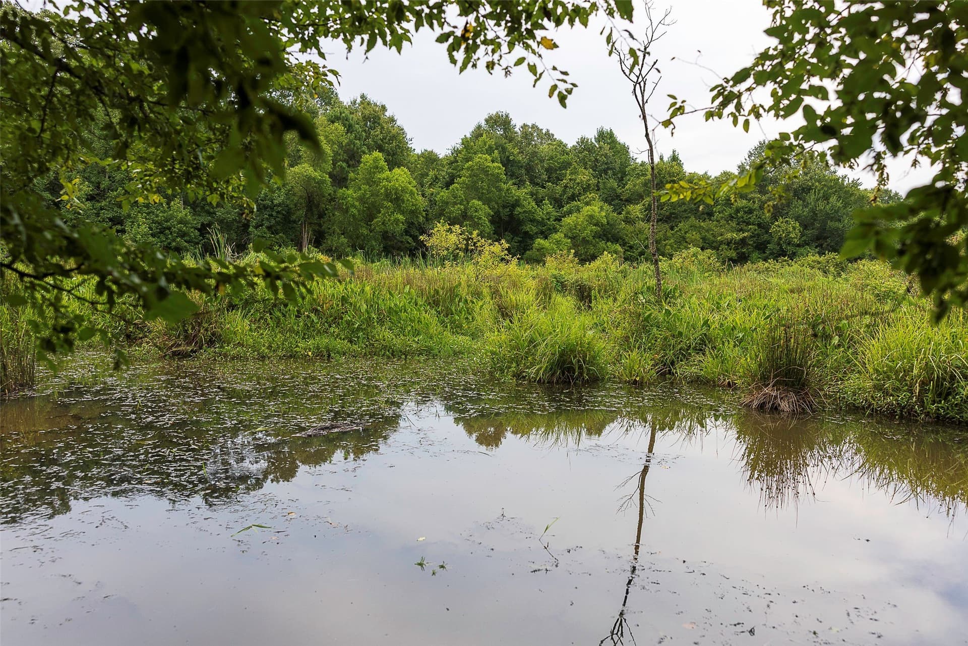 92.58 acres in Nacogdoches County - photo 25