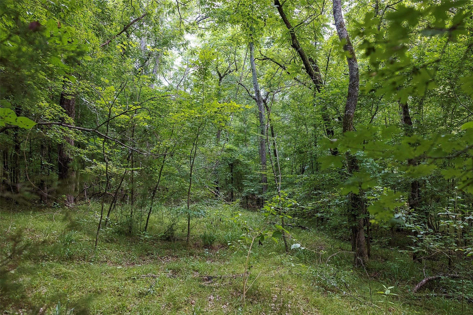 92.58 acres in Nacogdoches County - photo 26