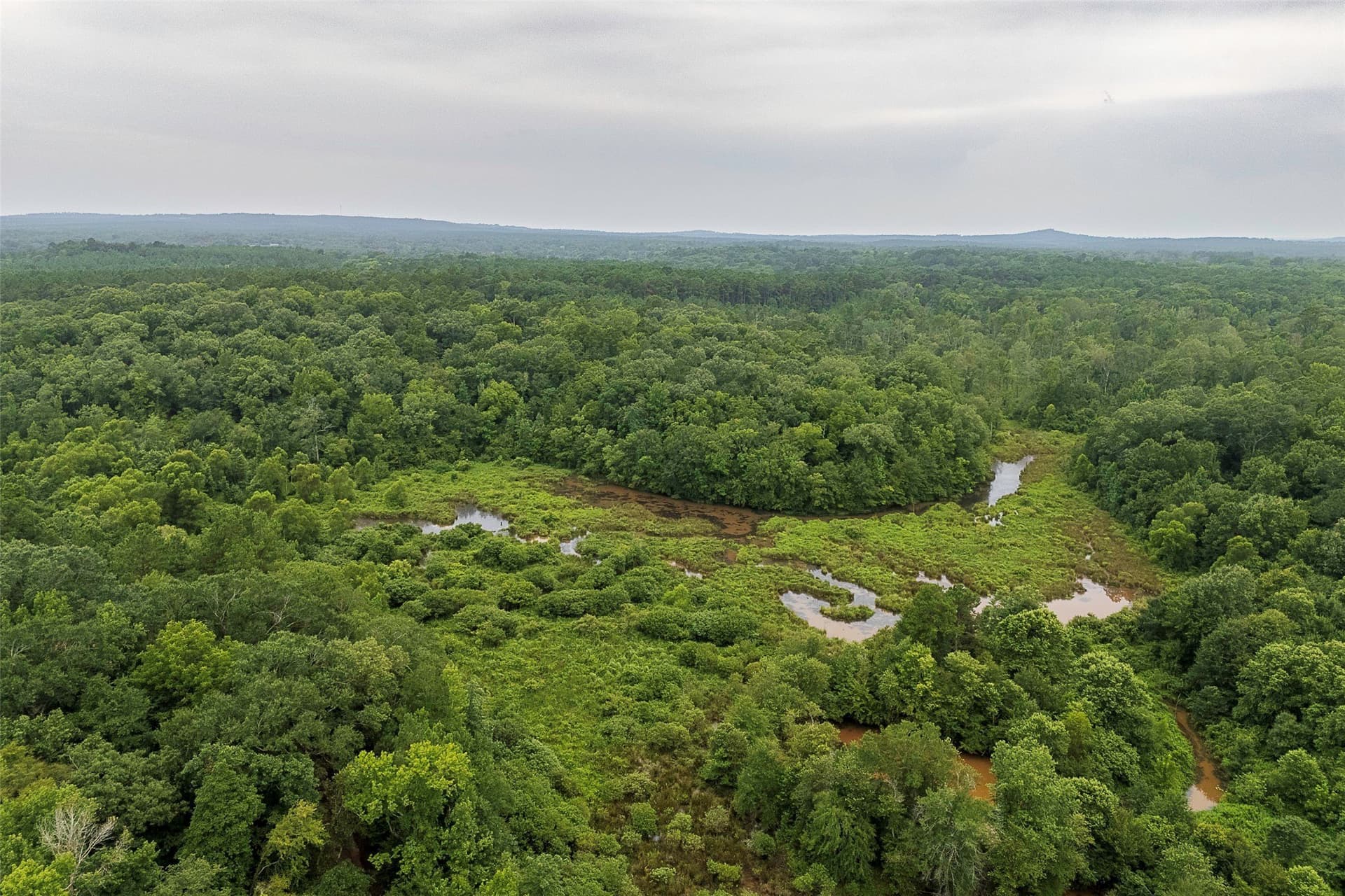 92.58 acres in Nacogdoches County - photo 12