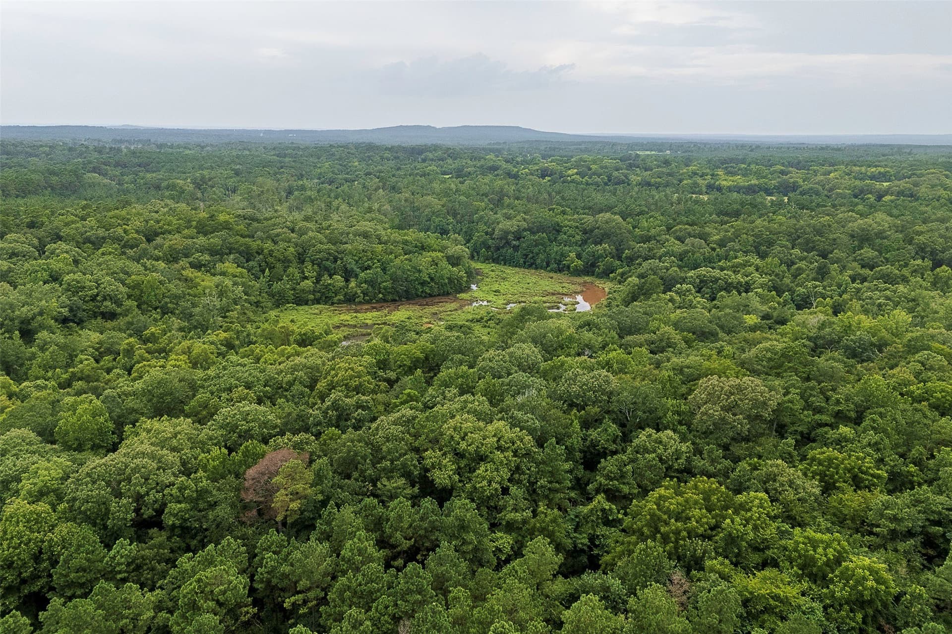 92.58 acres in Nacogdoches County - photo 16