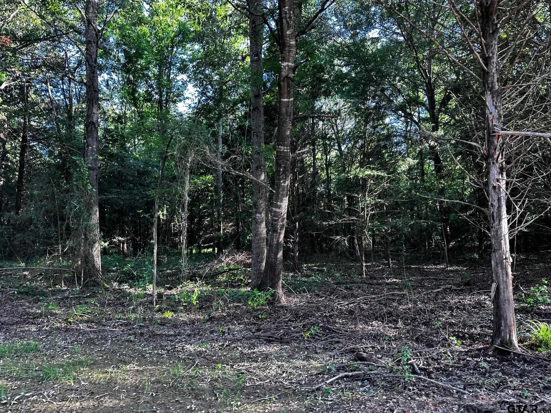 21.58 acres in Van Zandt County - photo 18