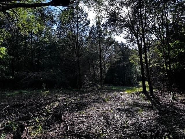 21.58 acres in Van Zandt County - photo 12