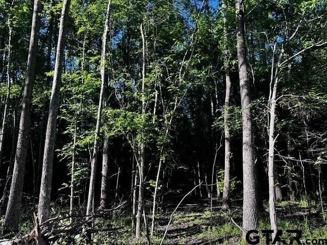 21.58 acres in Van Zandt County - photo 14