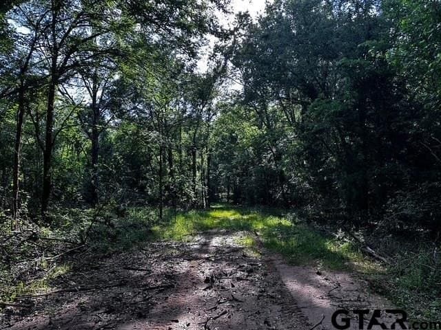 21.58 acres in Van Zandt County - photo 13