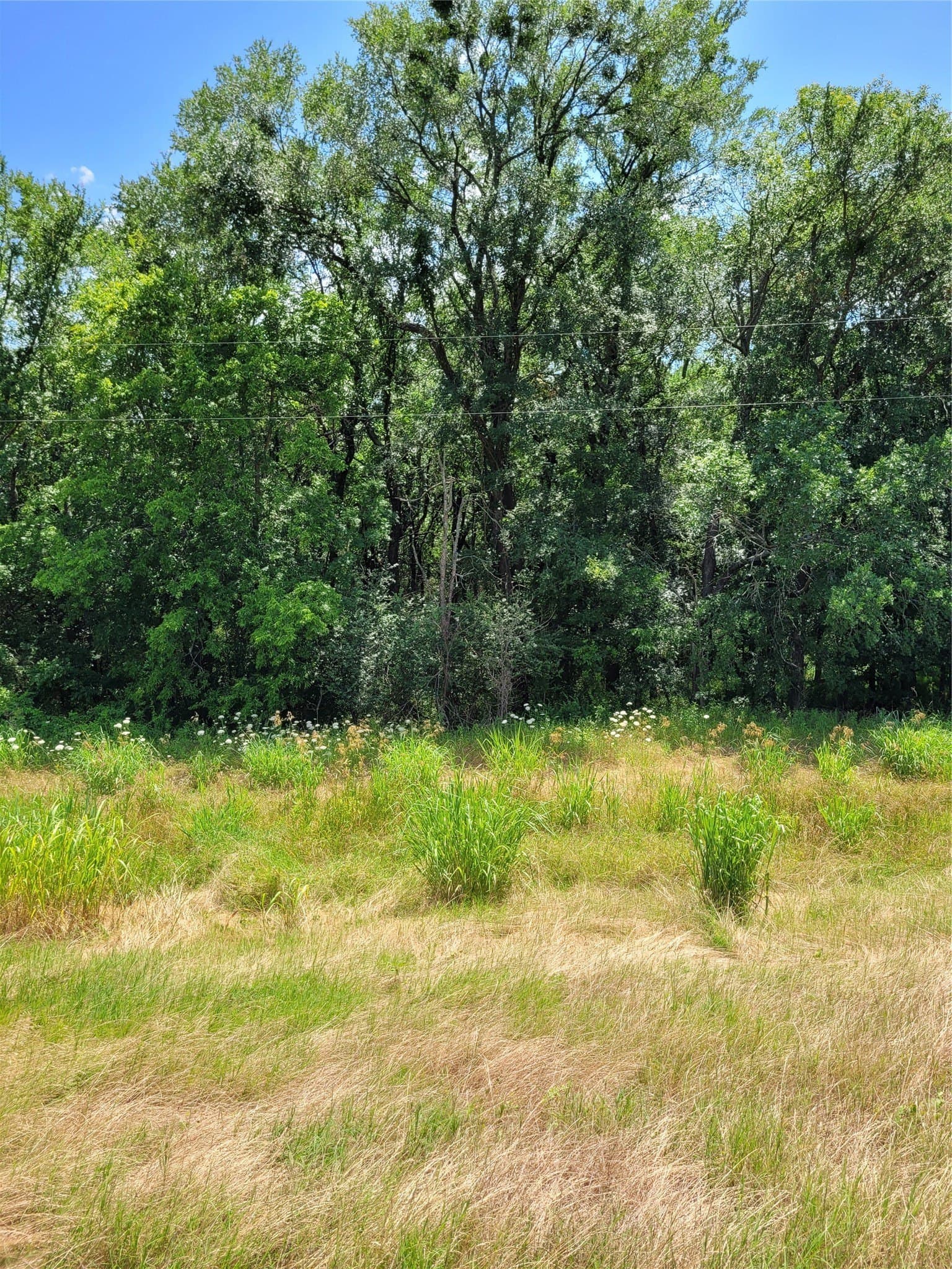 3.11 acres in Lamar County - photo 4