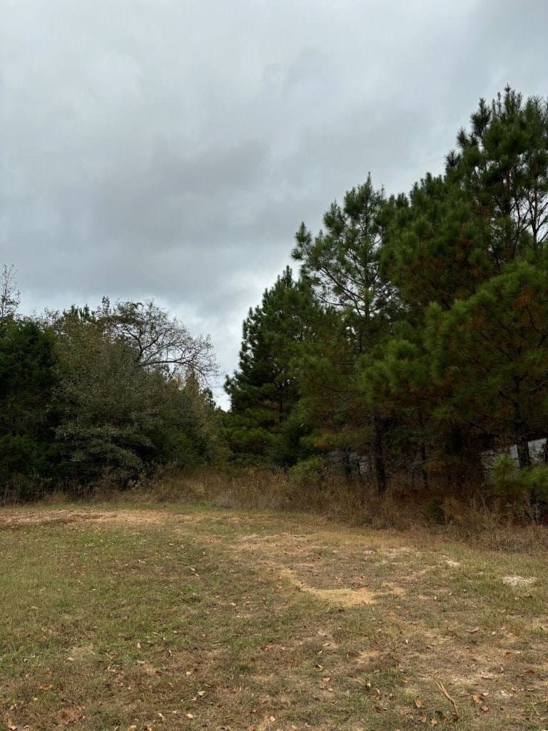 37.76 acres in Texas County gallery image 3