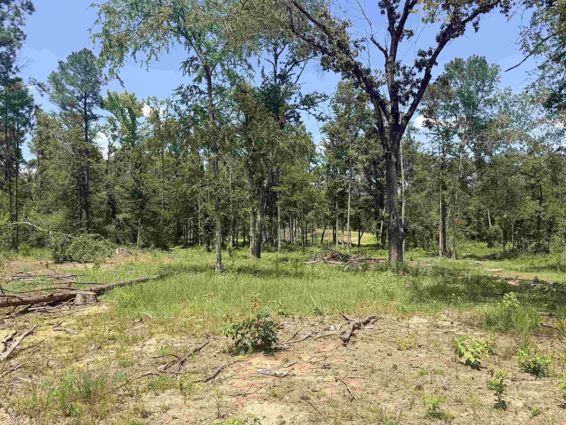 80 acres in Anderson County featured view