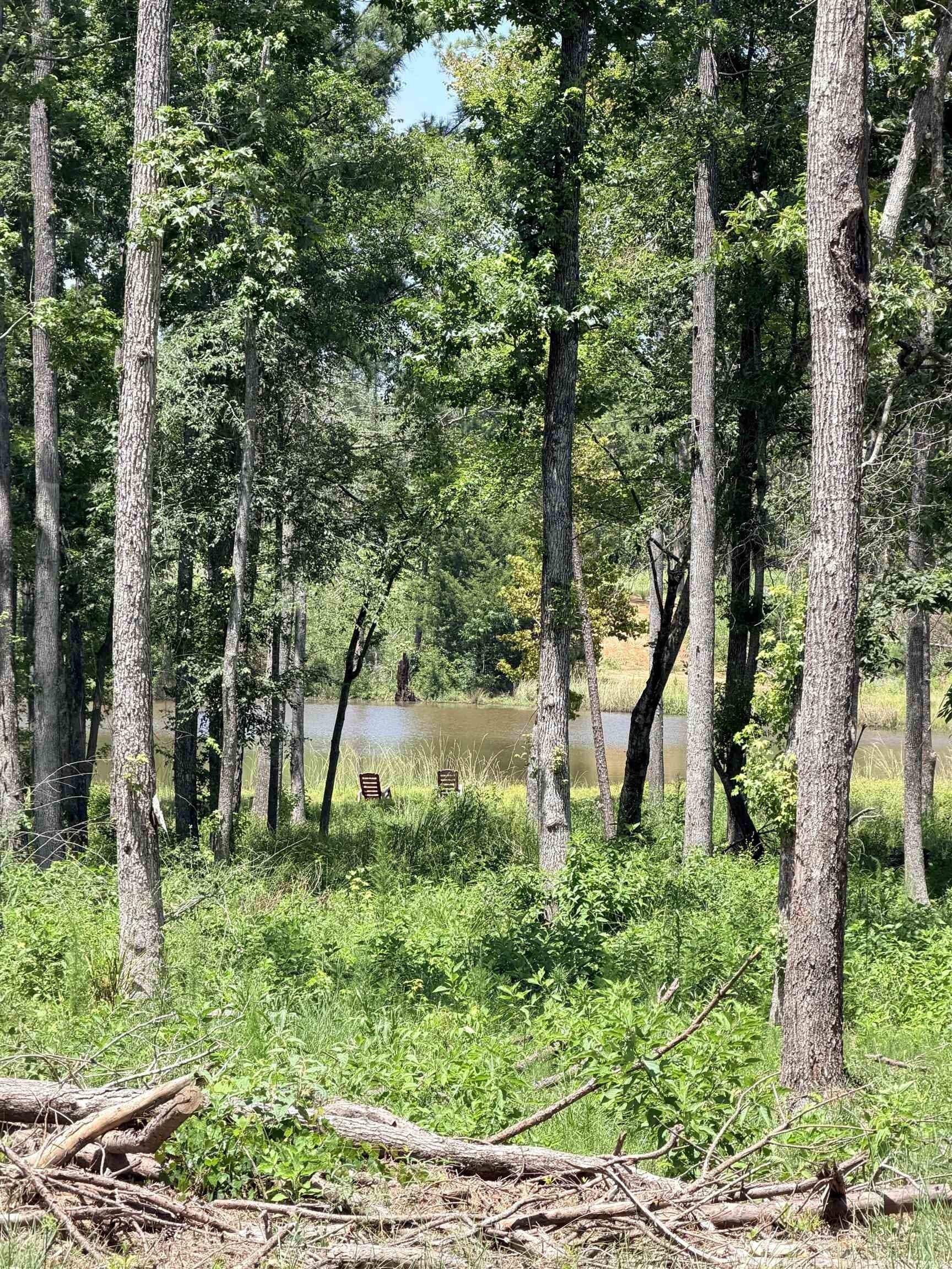 80 acres in Anderson County gallery image 4