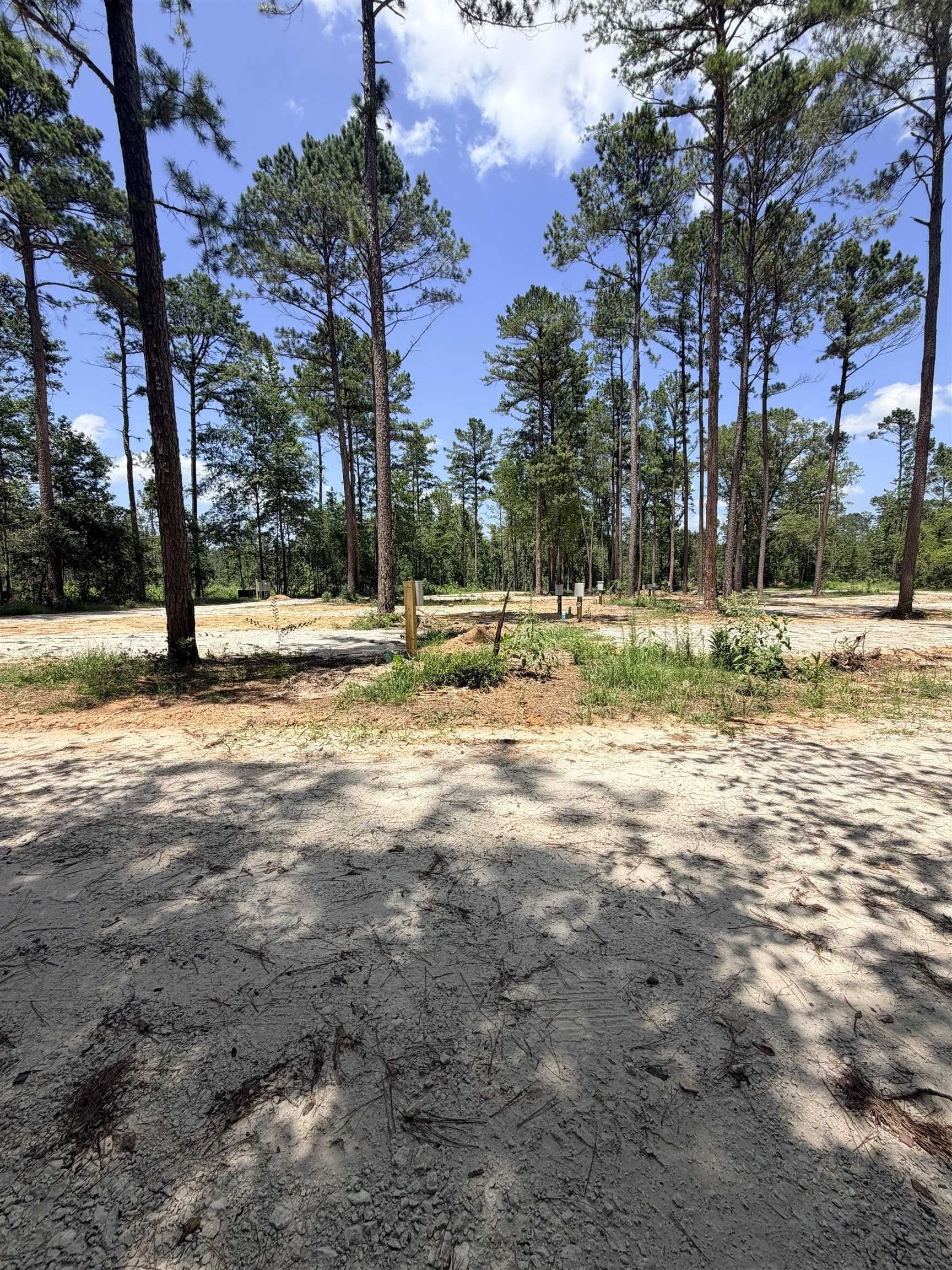 80 acres in Anderson County gallery image 2