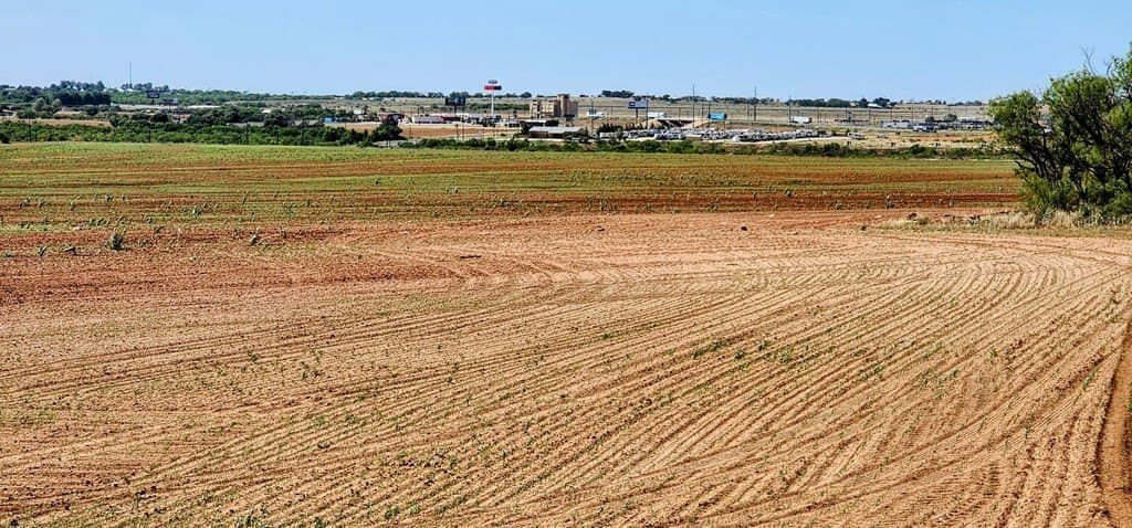 228.32 acres in Mitchell County featured view