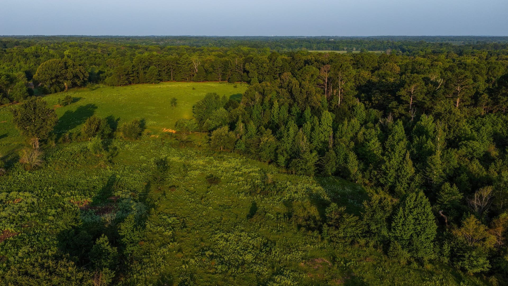 176.9 acres in Van Zandt County - photo 32