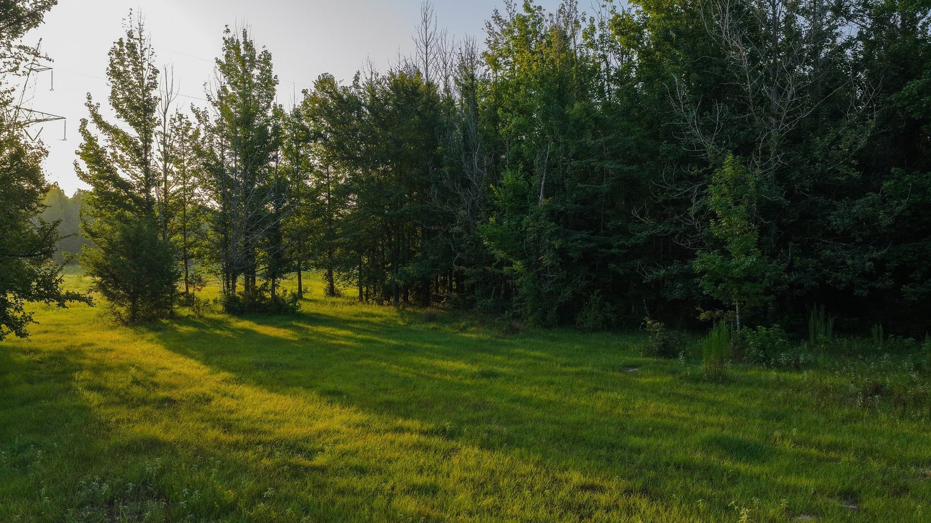 176.9 acres in Van Zandt County - photo 8
