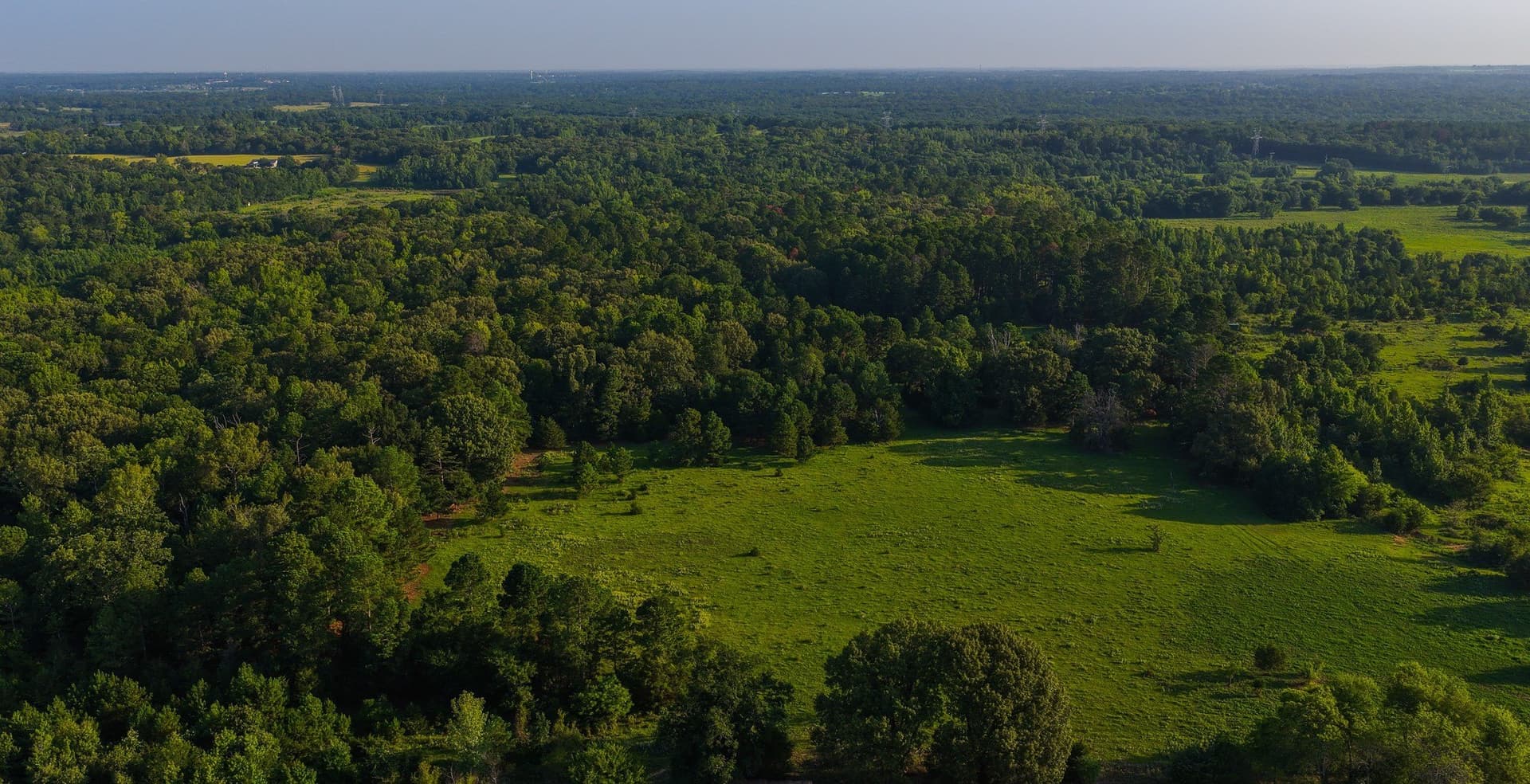 176.9 acres in Van Zandt County - photo 38
