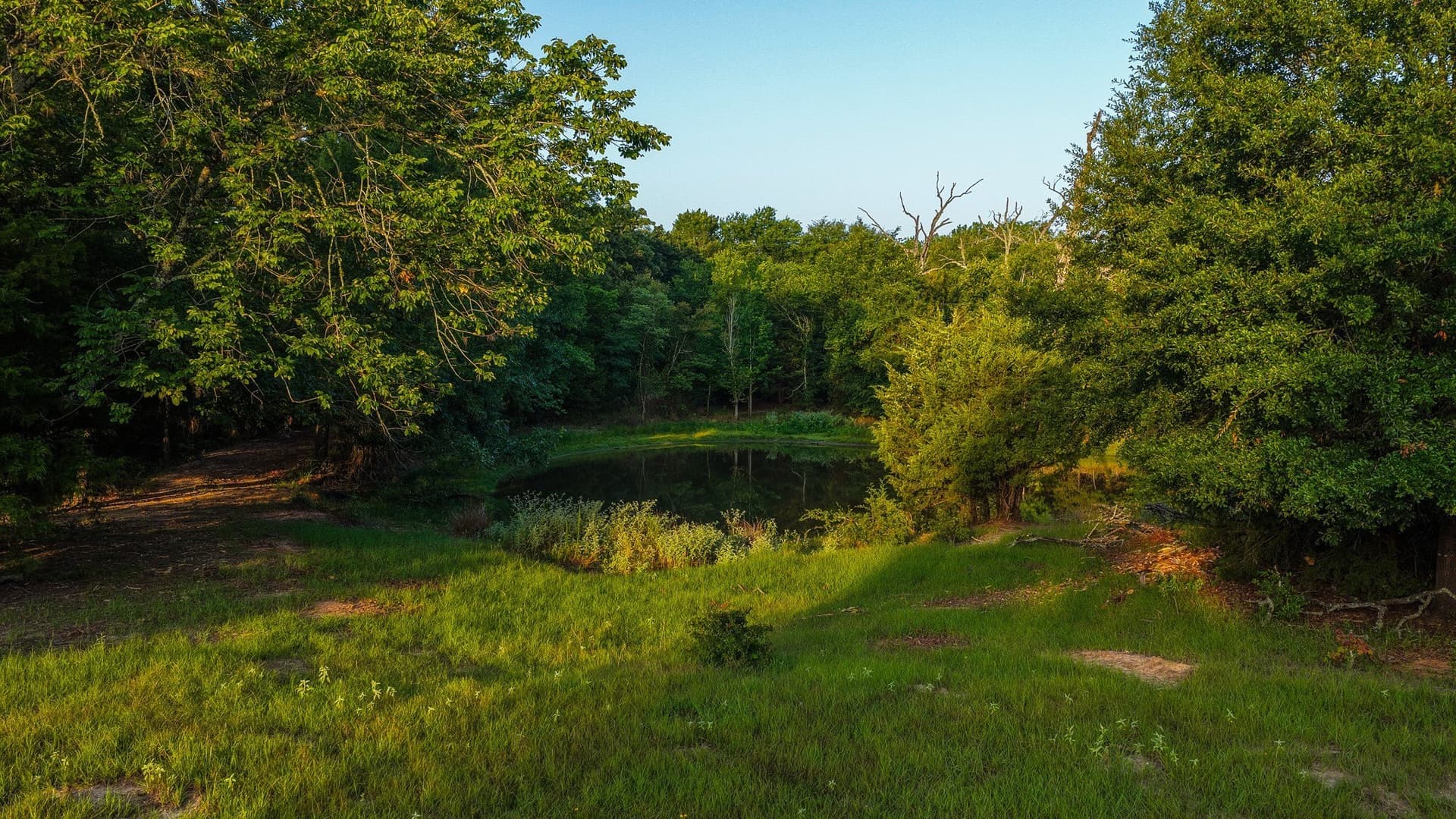176.9 acres in Van Zandt County - photo 7
