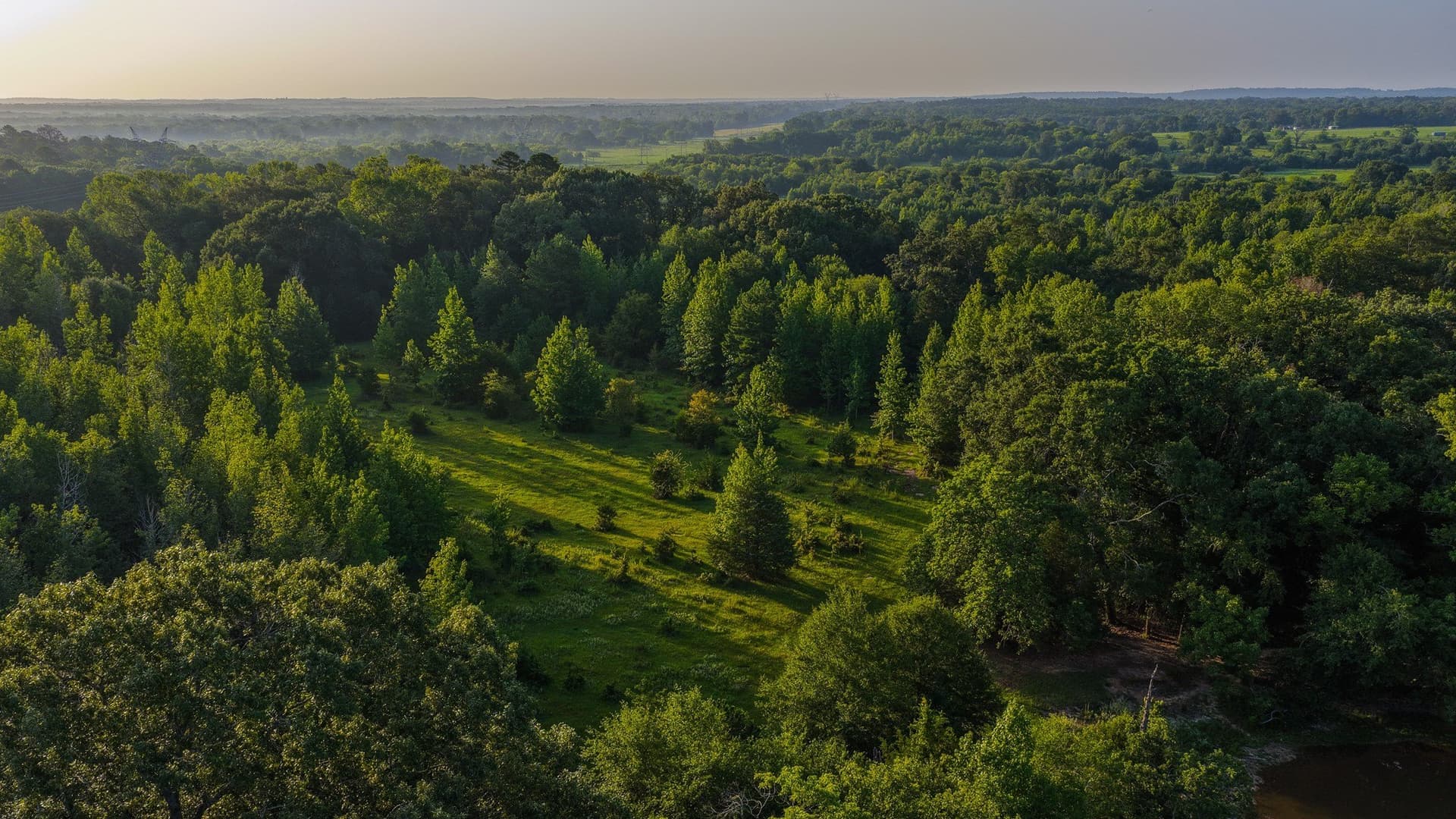 176.9 acres in Van Zandt County - photo 9
