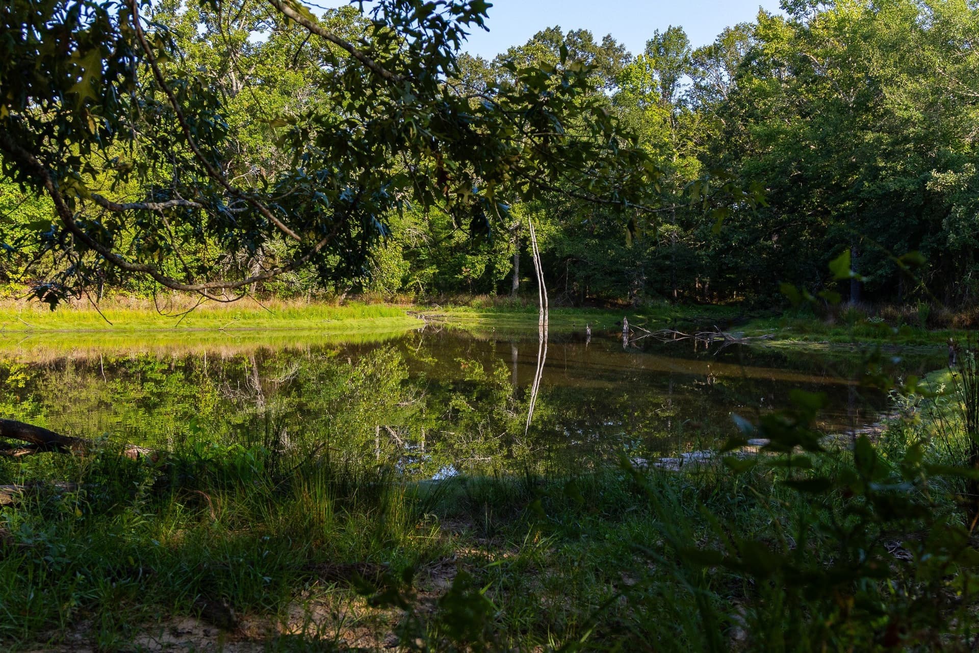 176.9 acres in Van Zandt County gallery image 4