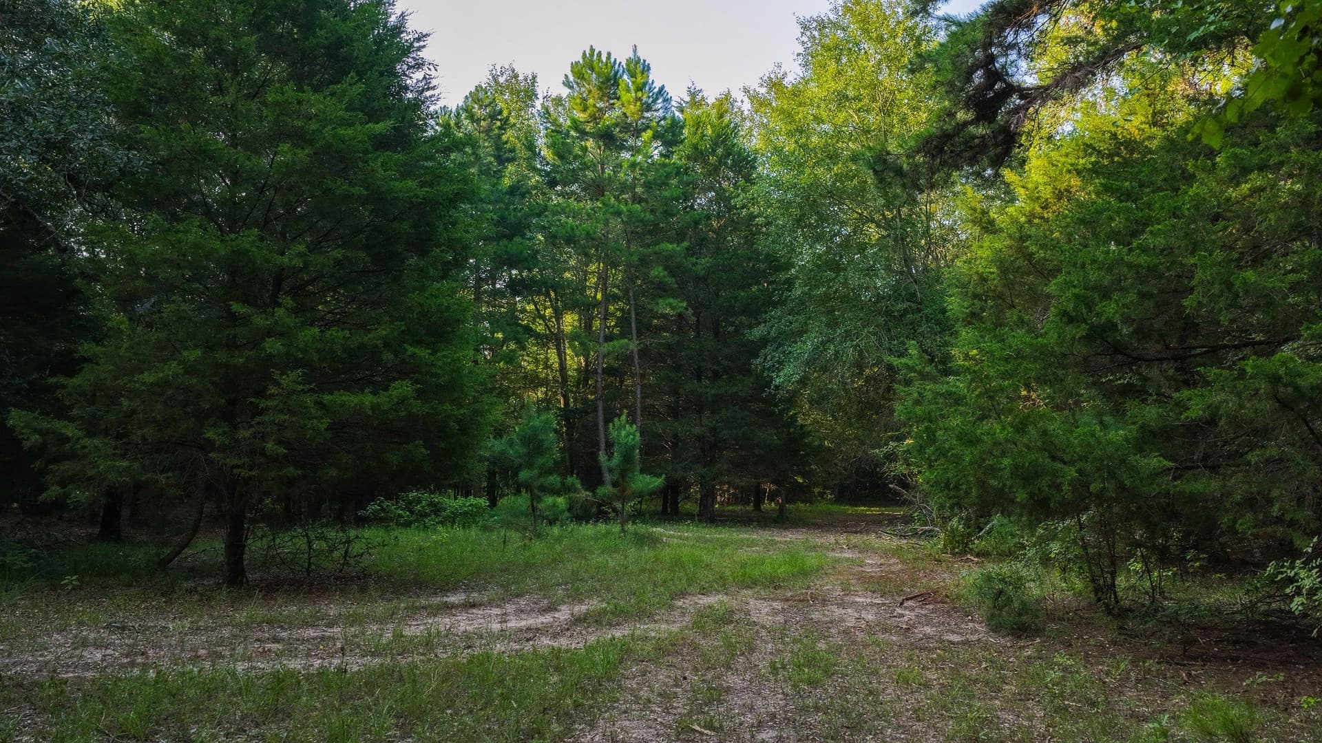 176.9 acres in Van Zandt County - photo 28
