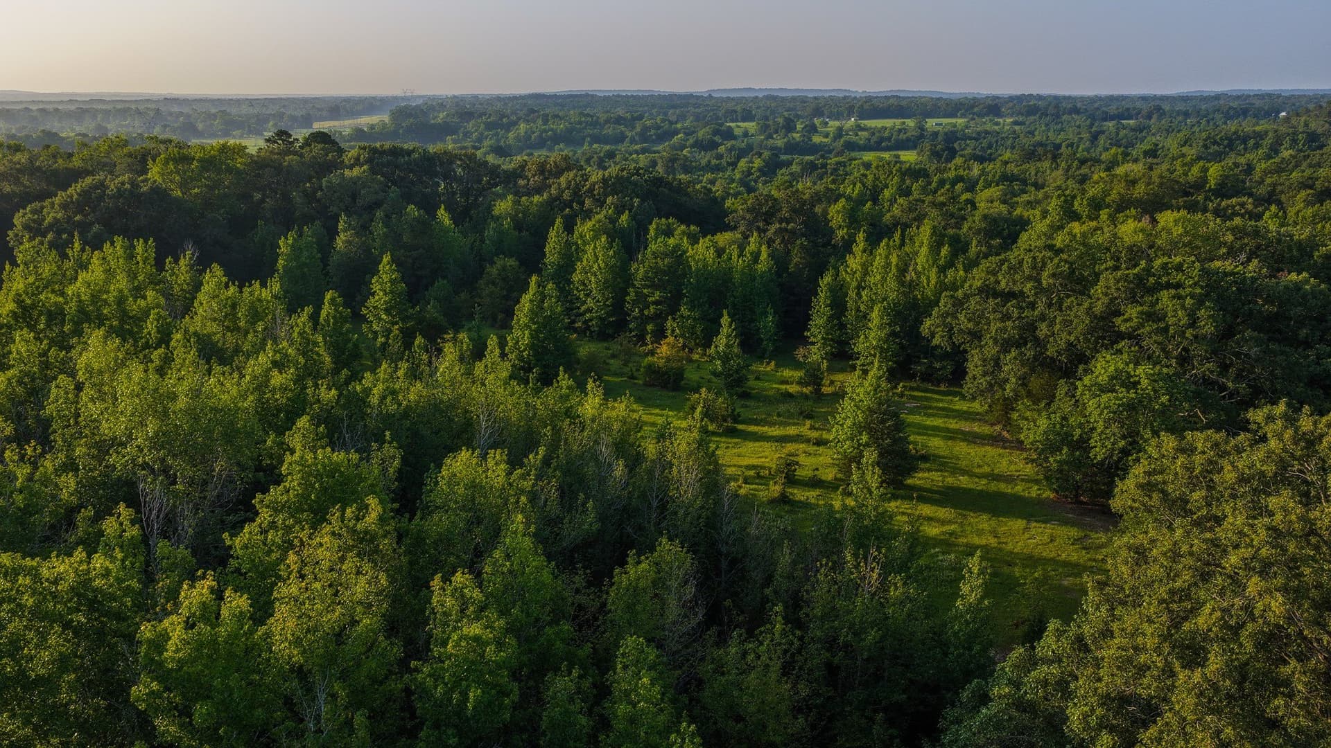 176.9 acres in Van Zandt County - photo 35