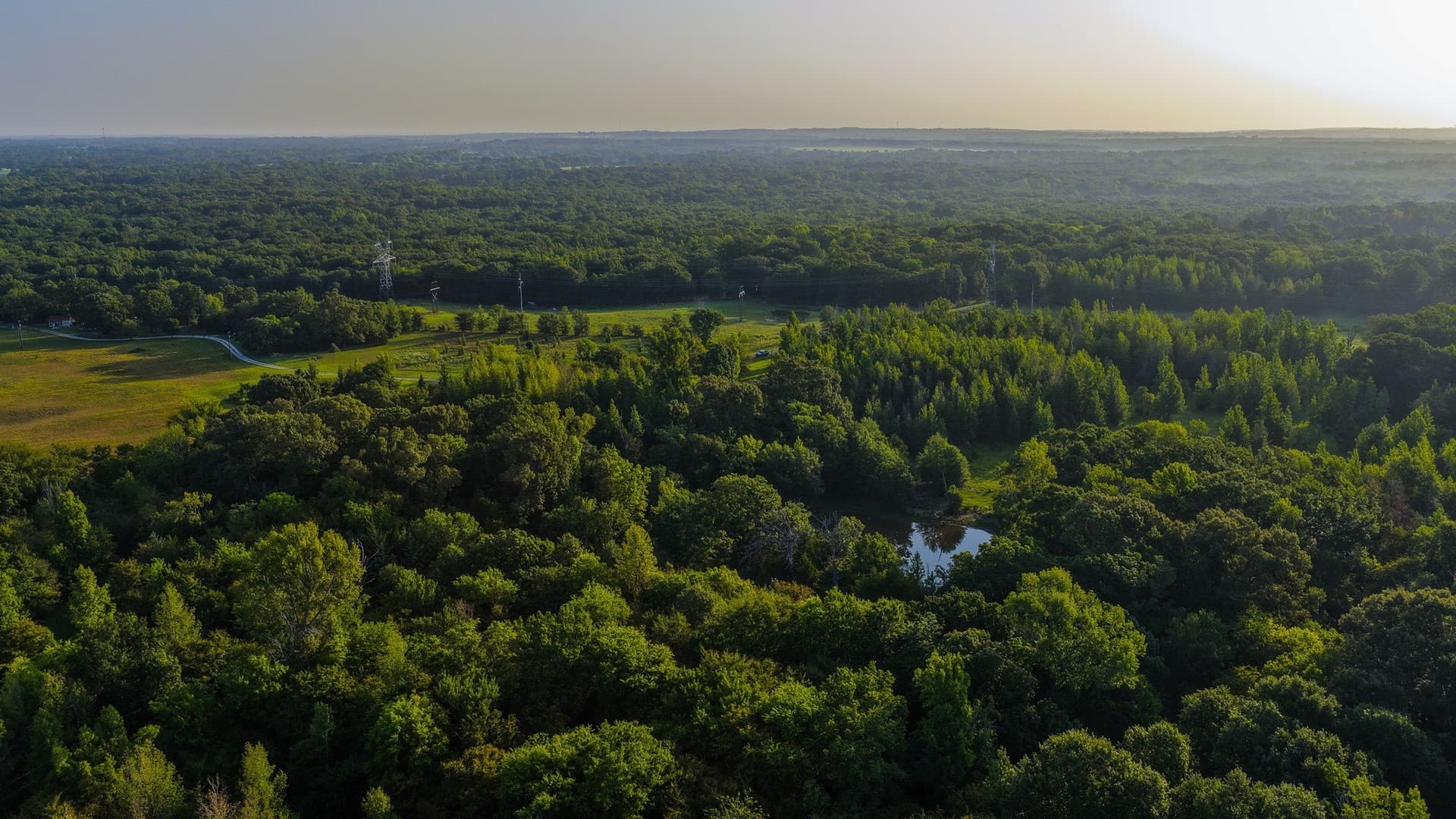 176.9 acres in Van Zandt County - photo 11