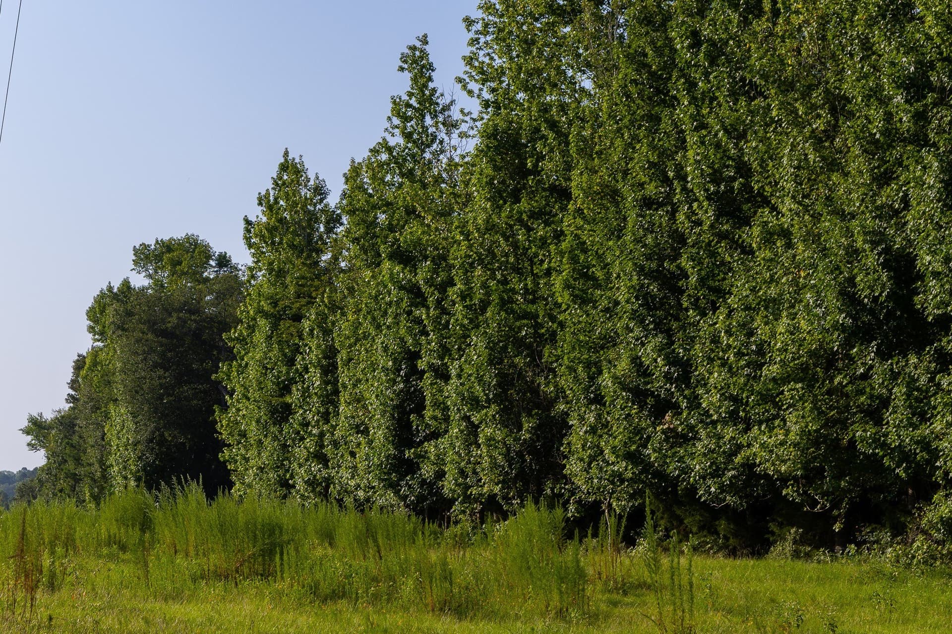 176.9 acres in Van Zandt County - photo 22