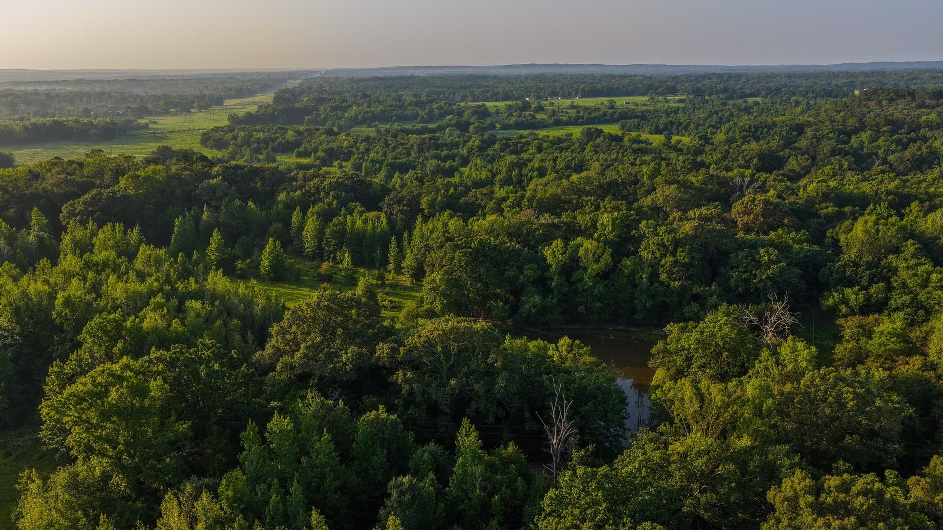 176.9 acres in Van Zandt County - photo 34