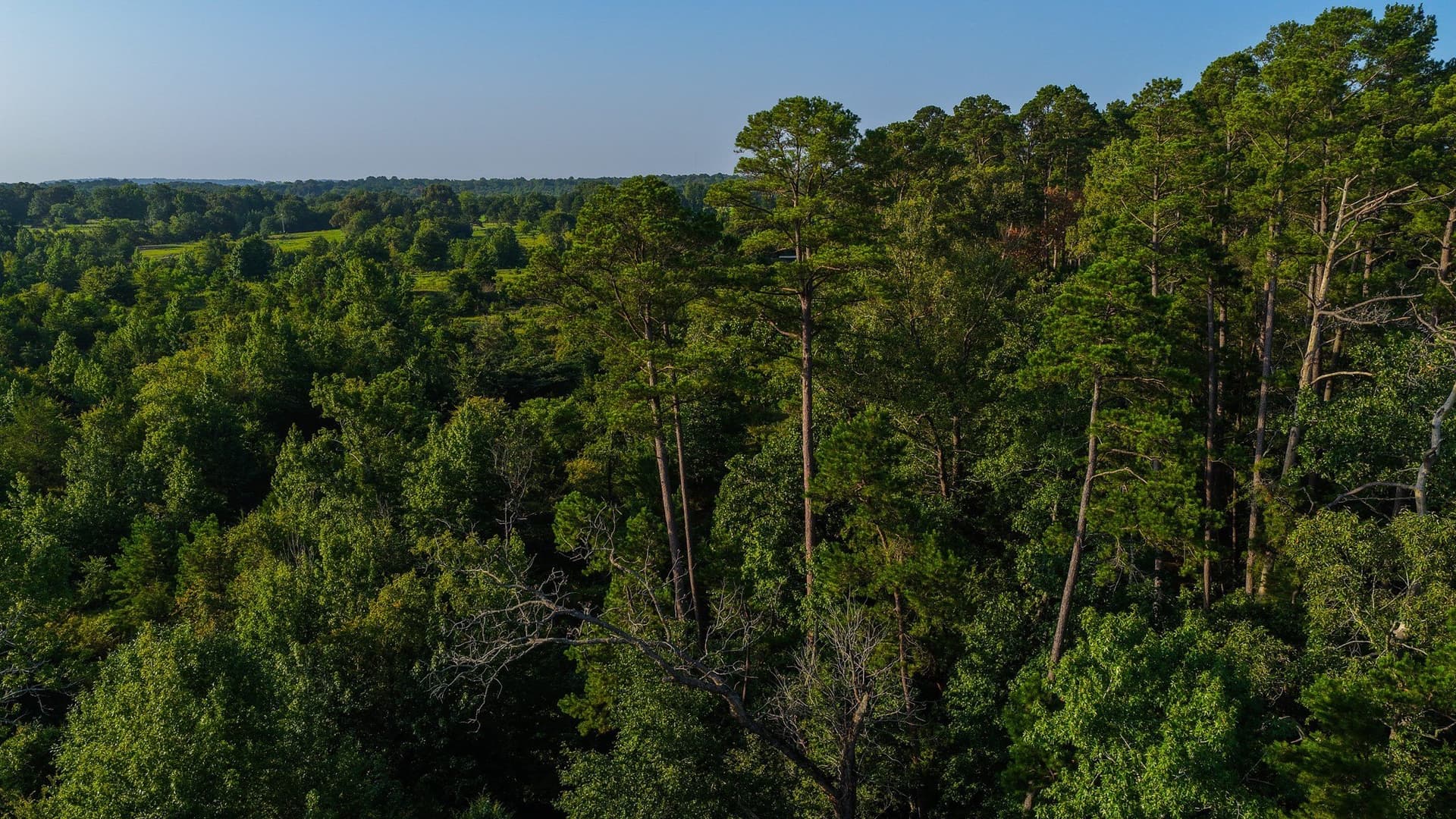 176.9 acres in Van Zandt County - photo 36