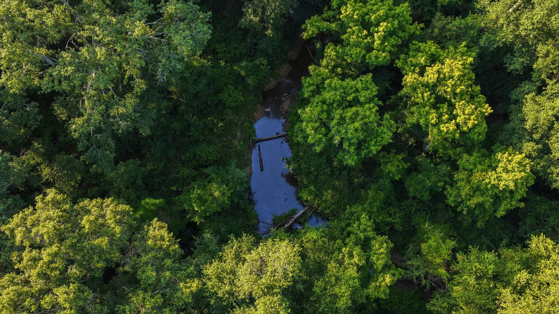 176.9 acres in Van Zandt County - photo 24