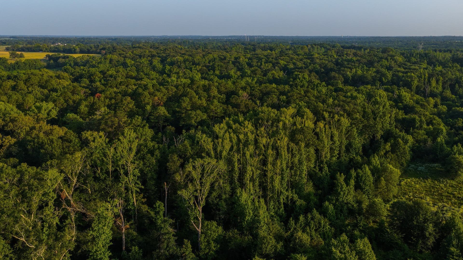 176.9 acres in Van Zandt County - photo 33