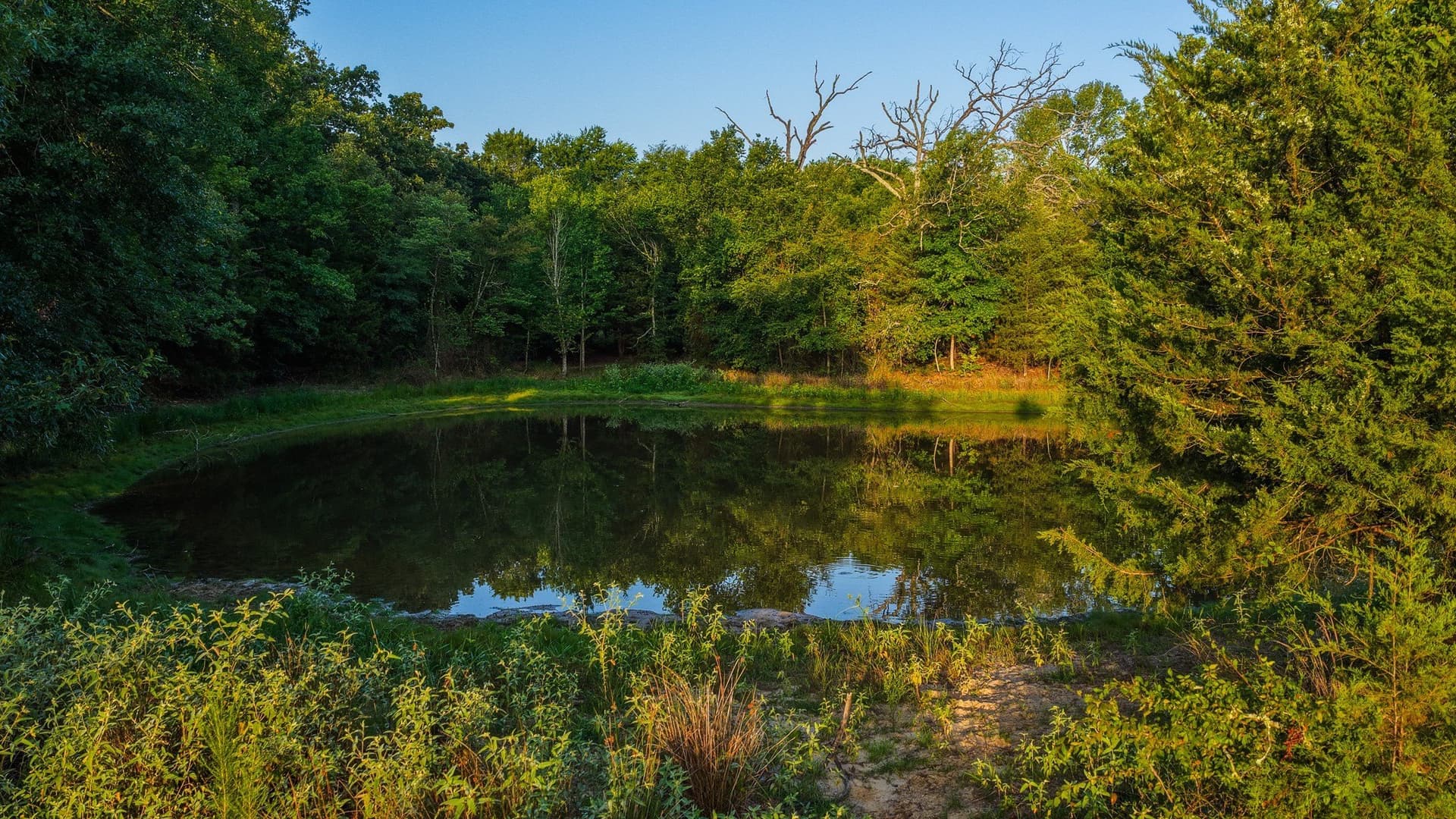 176.9 acres in Van Zandt County - photo 6